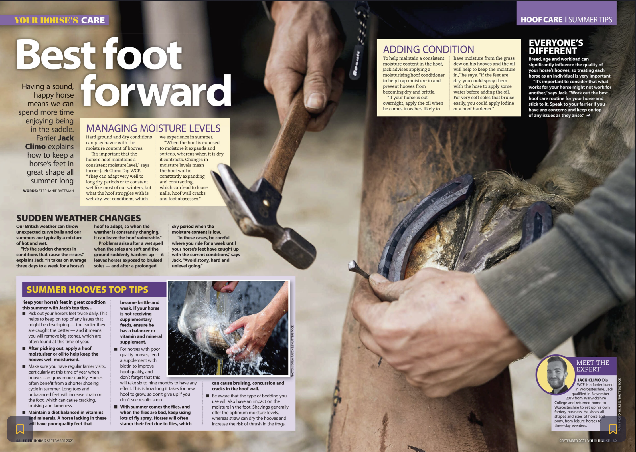 Close-up of a person using a hammer and hoof rasp to trim a horse's hoof, with a horse's leg visible in the background, and a magazine article about horse hoof care.
