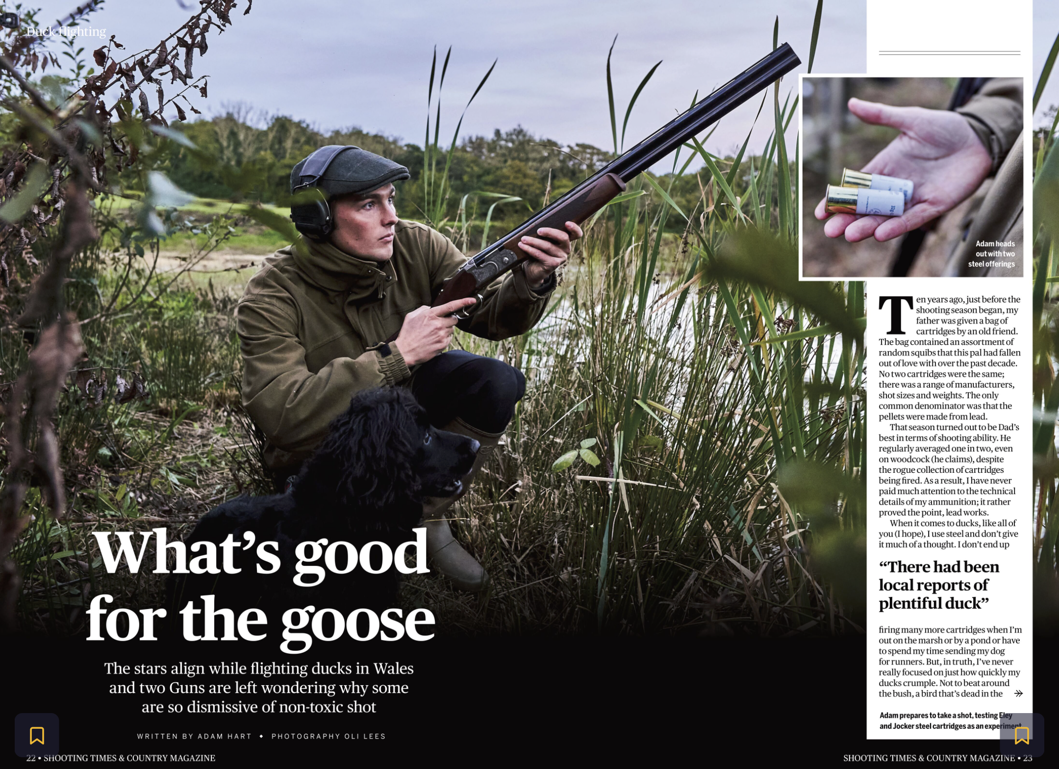 A man in outdoor clothing aiming a shotgun while crouching near tall grass, with a black dog sitting beside him. Inset shows a hand holding two steel shotgun cartridges.