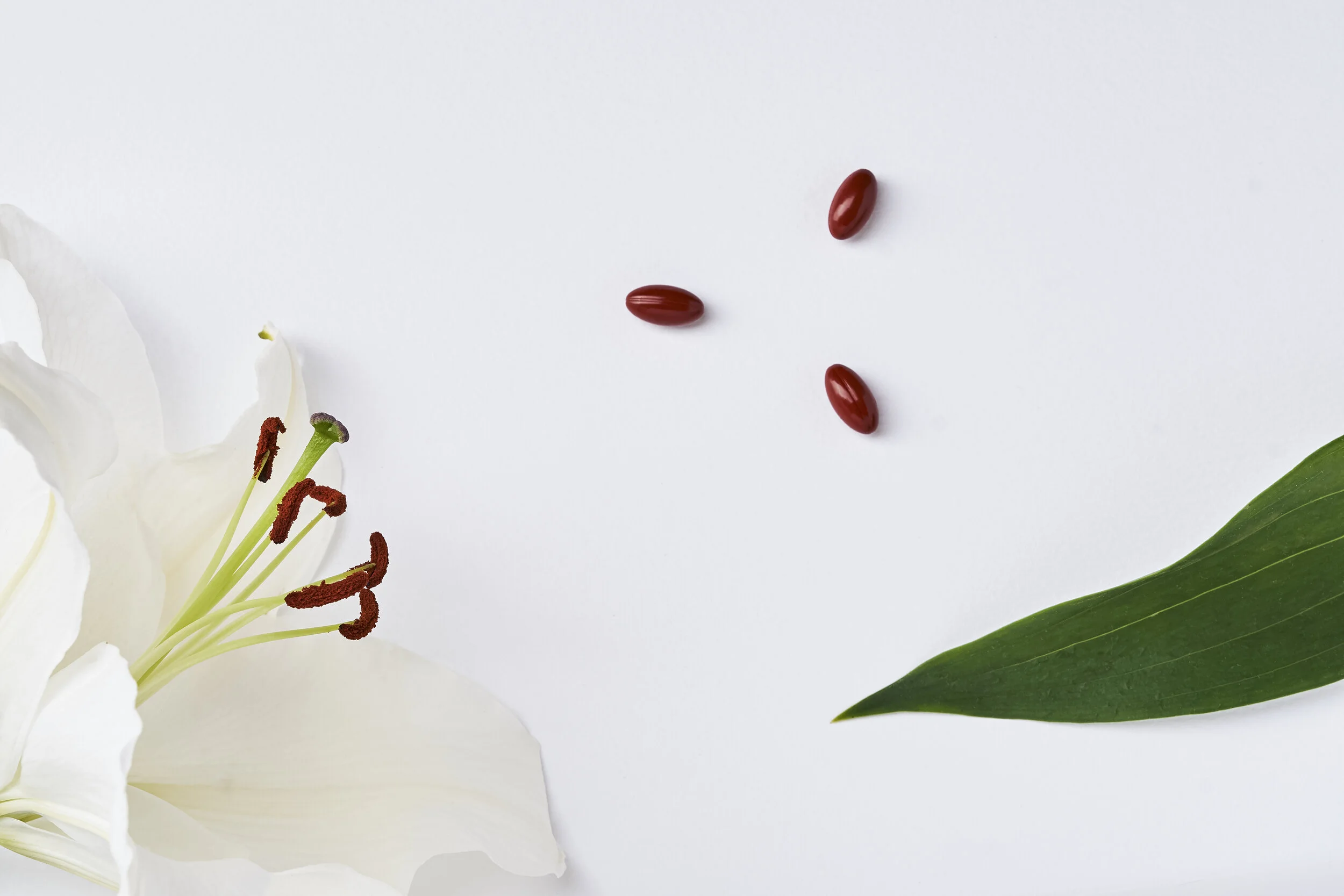 A white lily flower on the left side of the image, three small red pills in the middle, and a green leaf on the right side, all arranged on a white background.