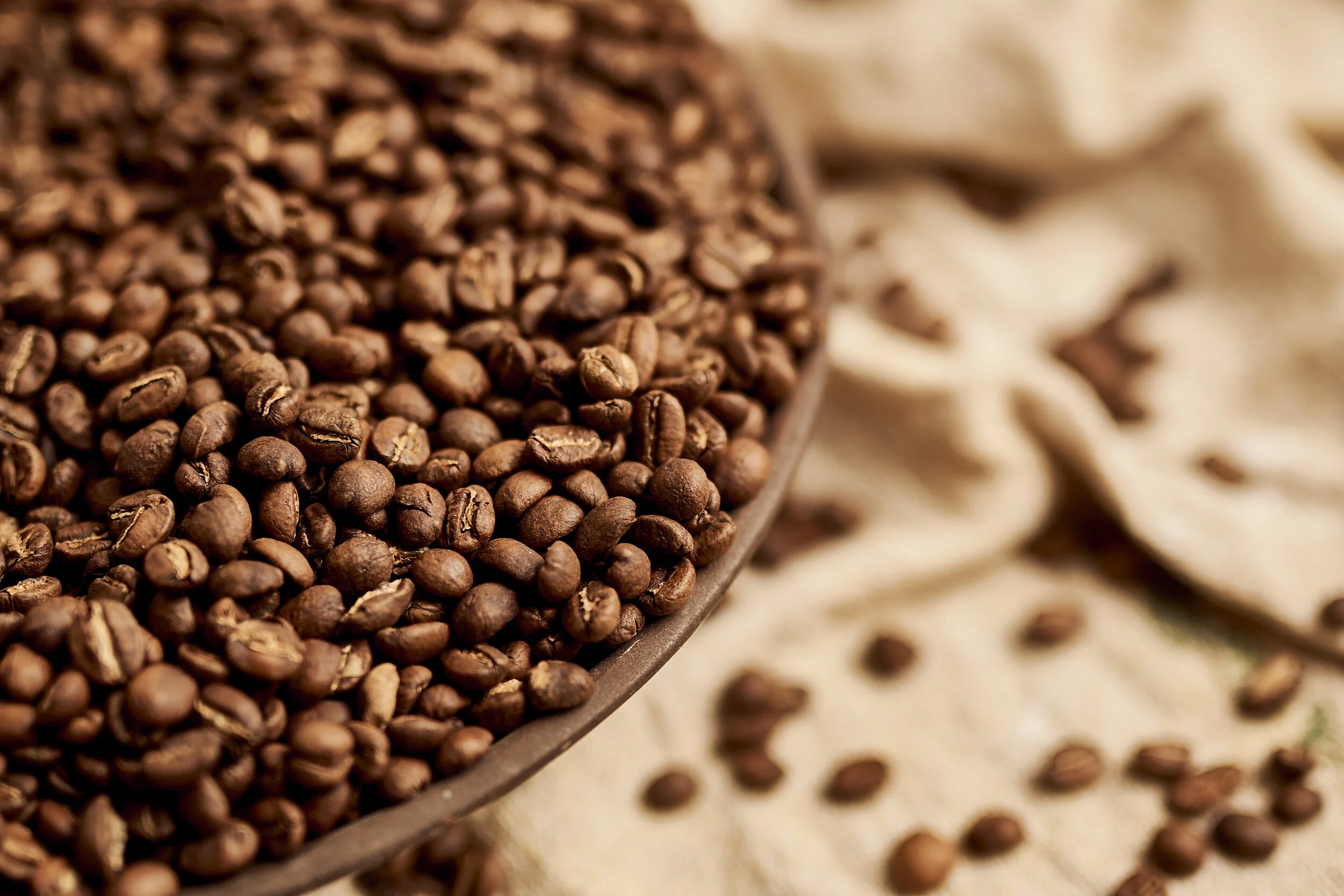 Close-up of roasted coffee beans on a scoop with scattered beans on a cloth background.