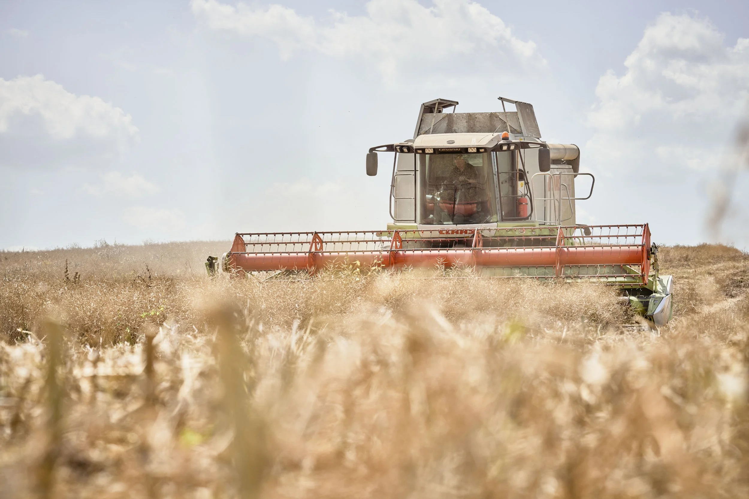 A tractor harvesting a golden field of grain under a partly cloudy sky.