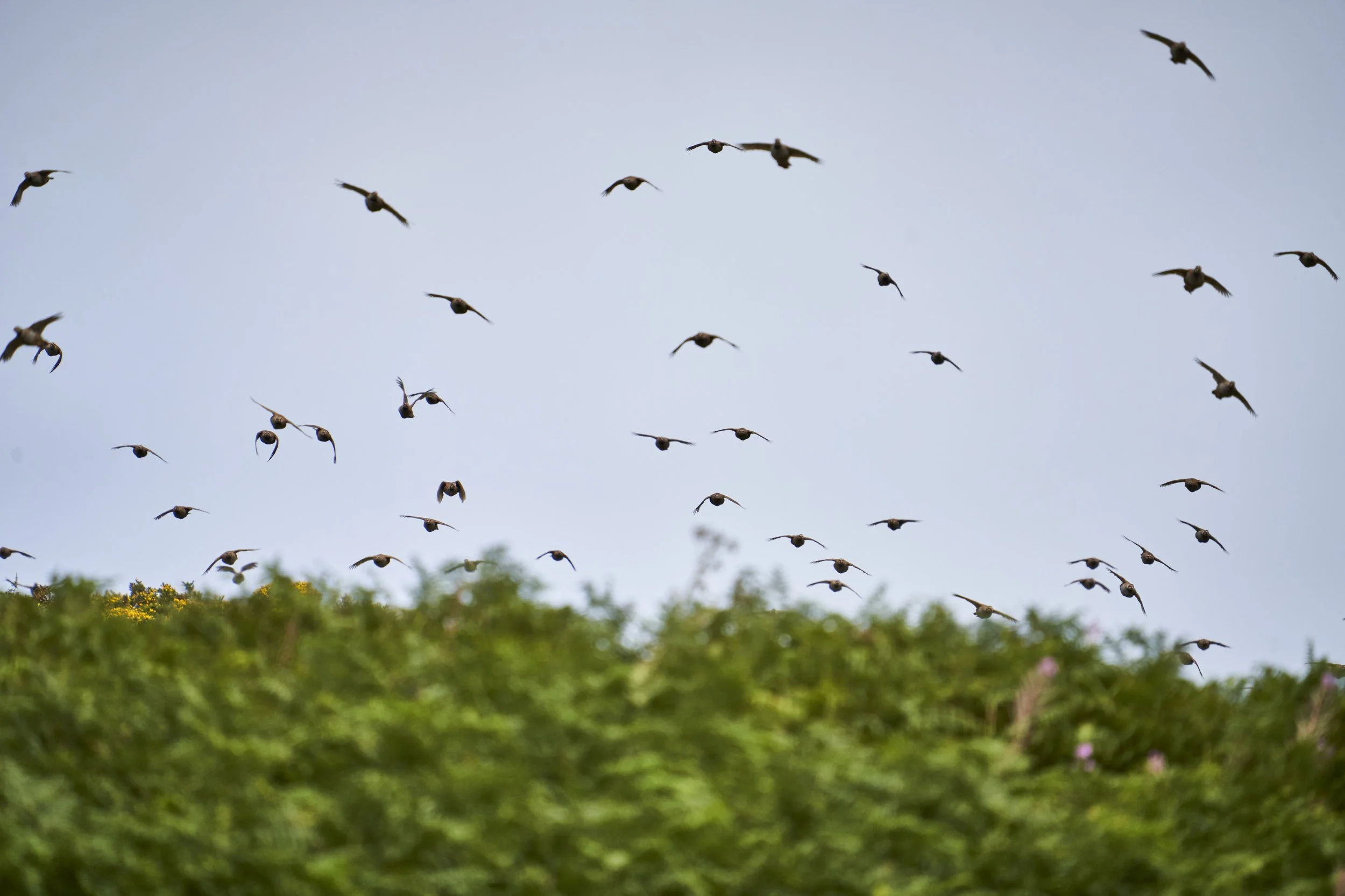 PlasDinam_110921_ 181.jpg