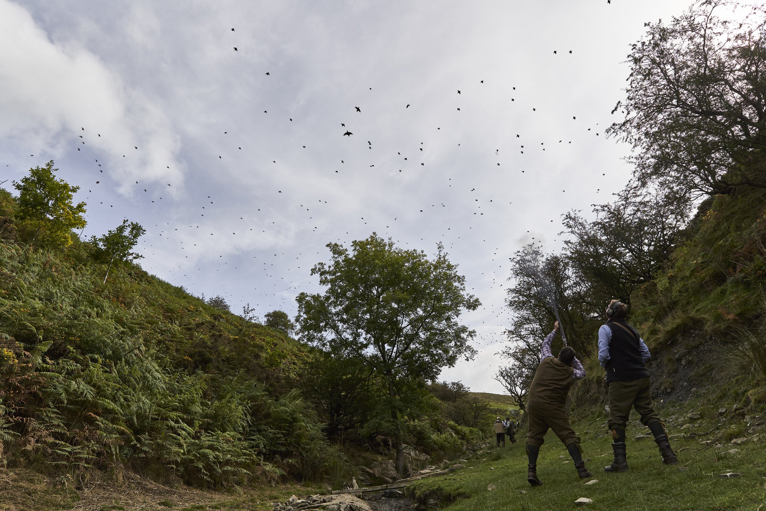People in the forest releasing birds into the sky during daytime.