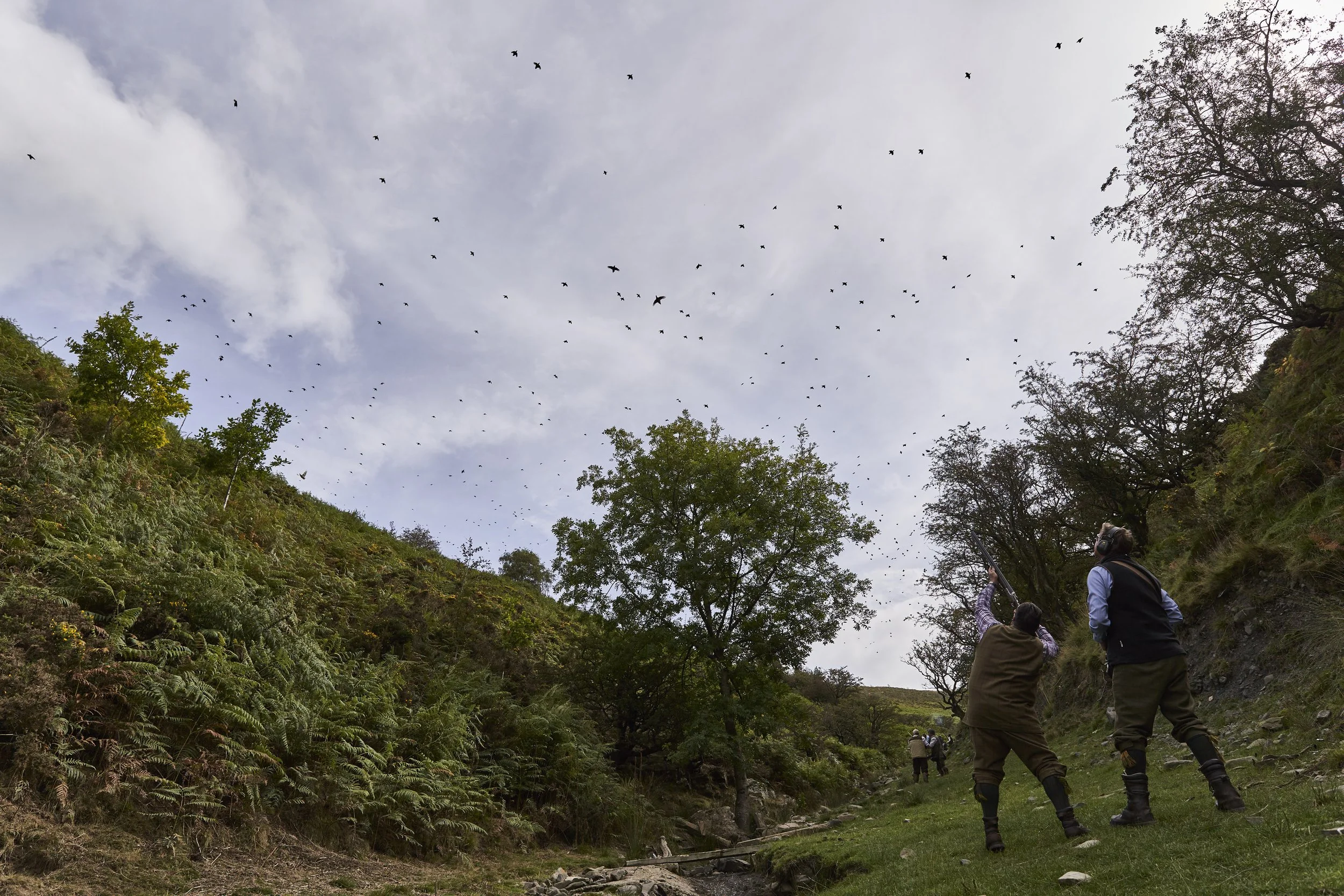 Two hunters aiming shotguns at a flock of birds flying in the sky above a wooded hillside.