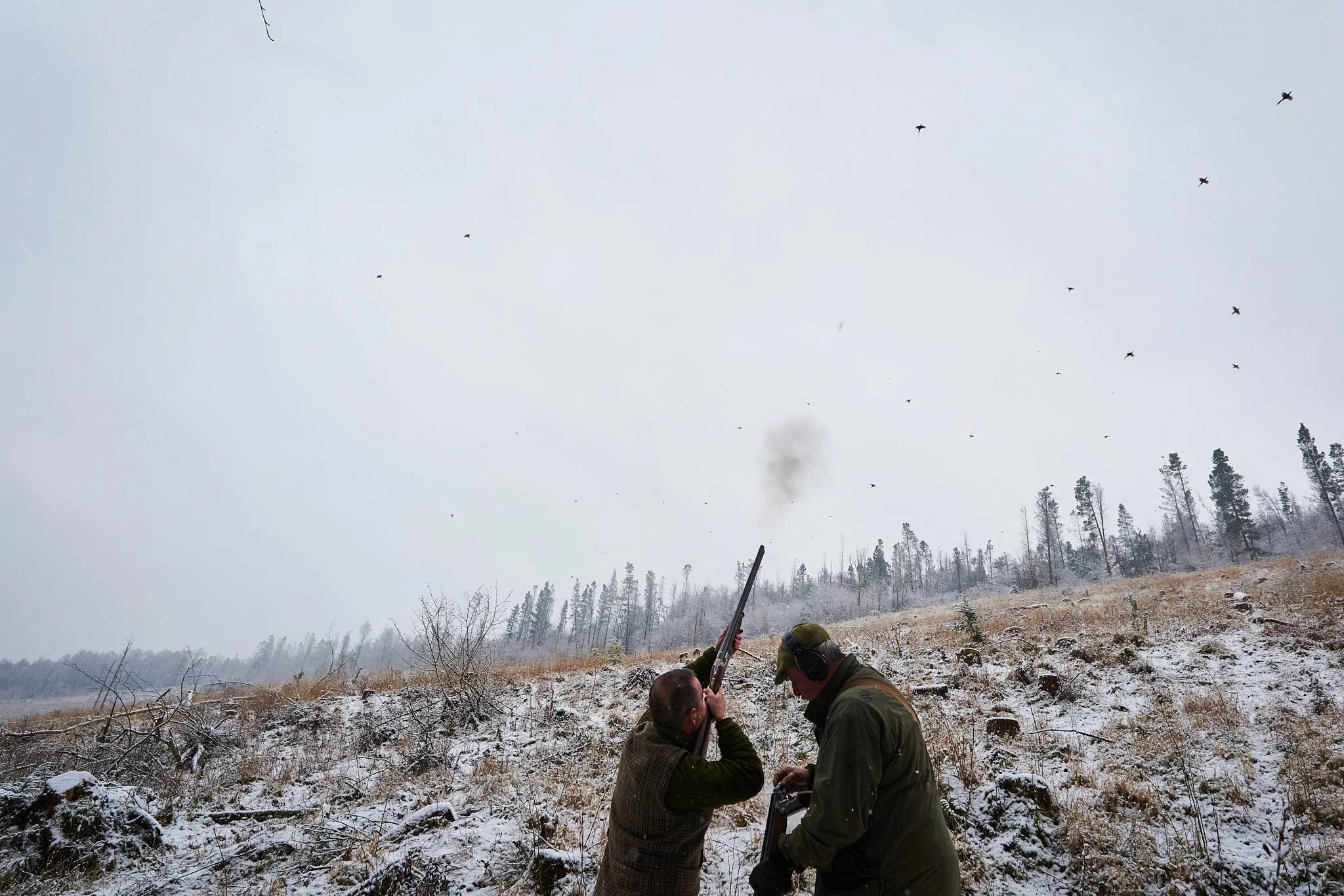 Two hunters in a snowy field aiming a shotgun at birds flying overhead, with a forest in the background.