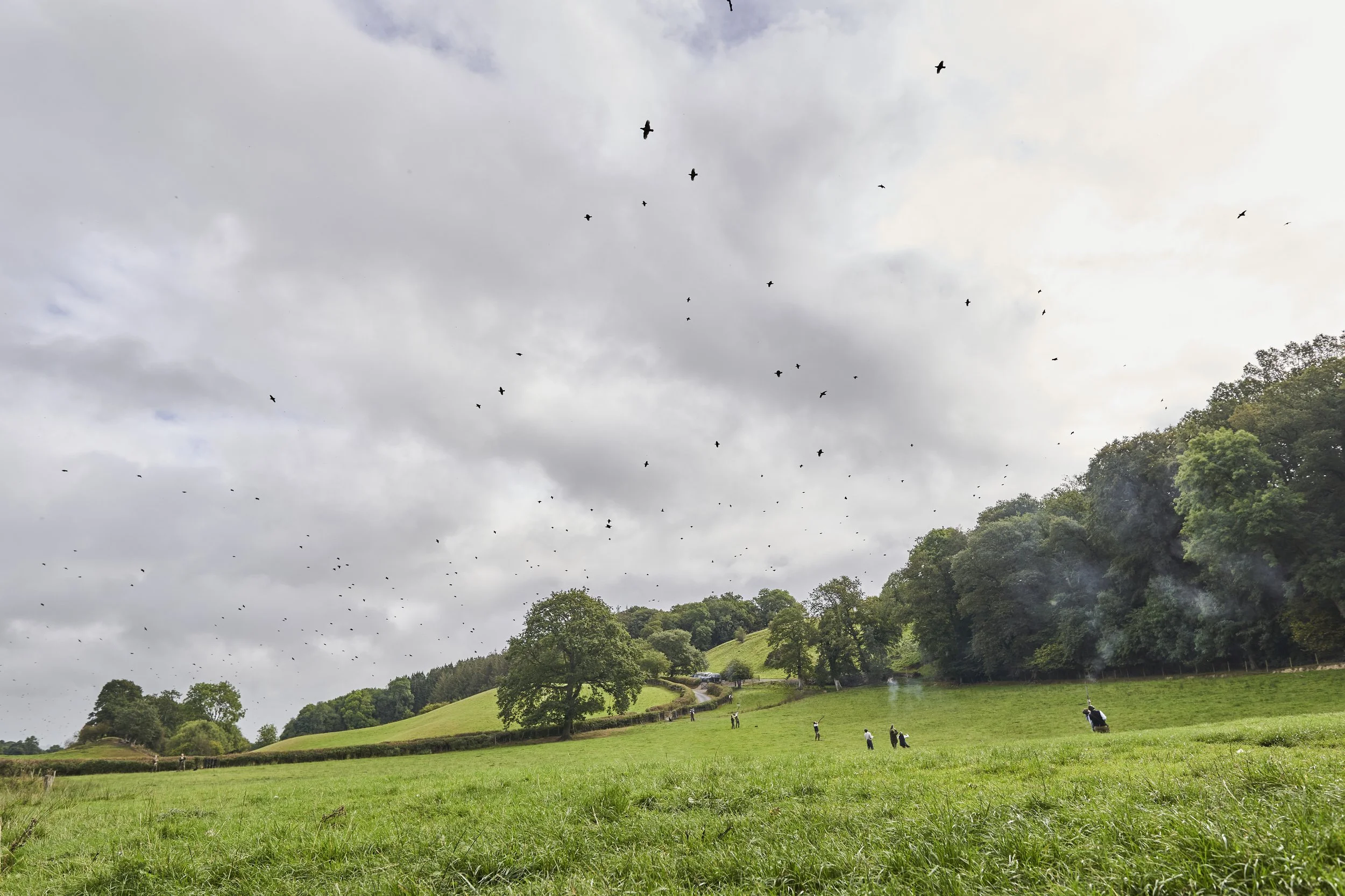 A green grassy field with people scattered, some firing rifles, on a cloudy day with birds flying overhead and trees along the horizon.