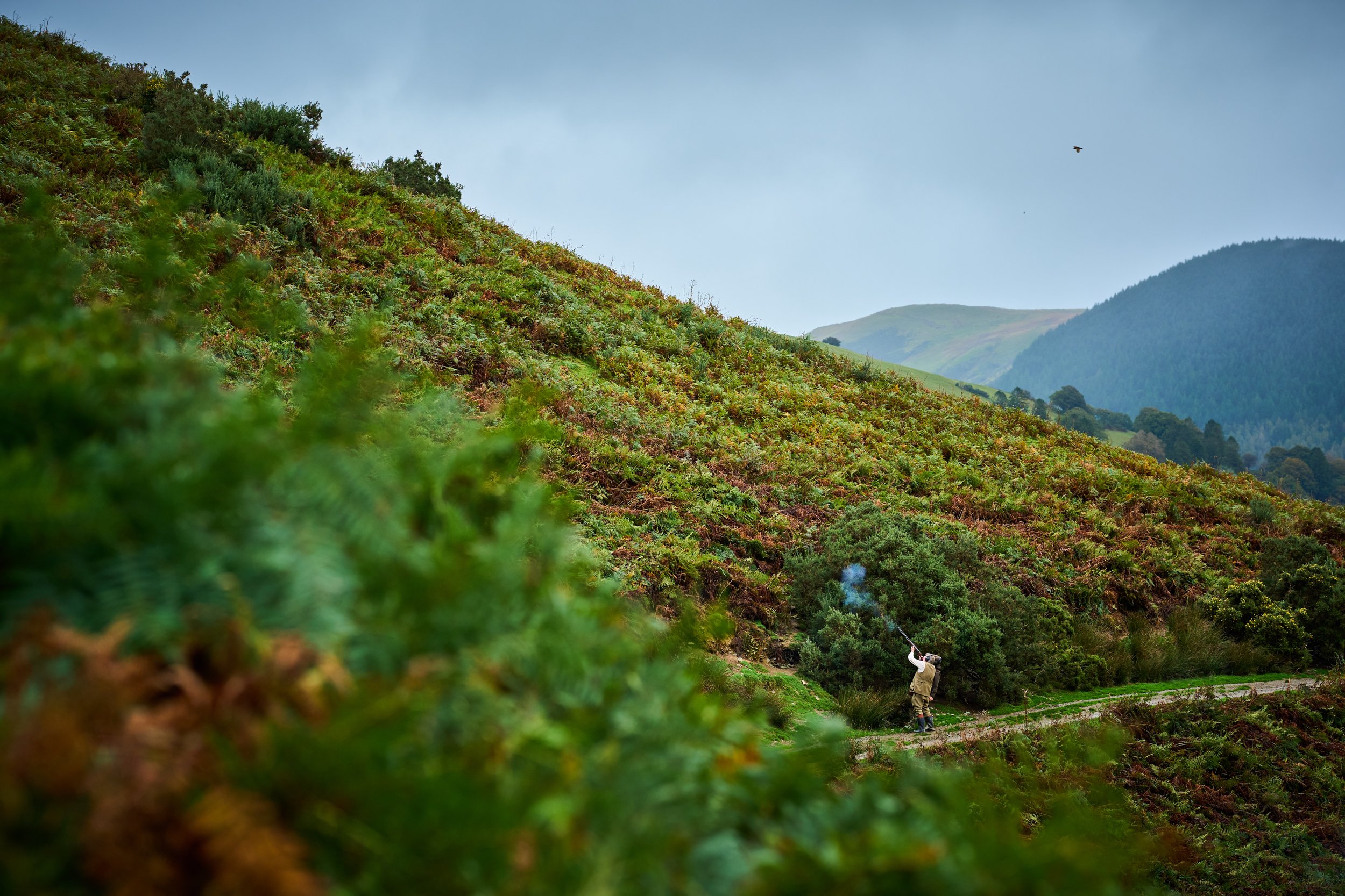 A person tending to a hillside covered with greenery, with mountains and a cloudy sky in the background.