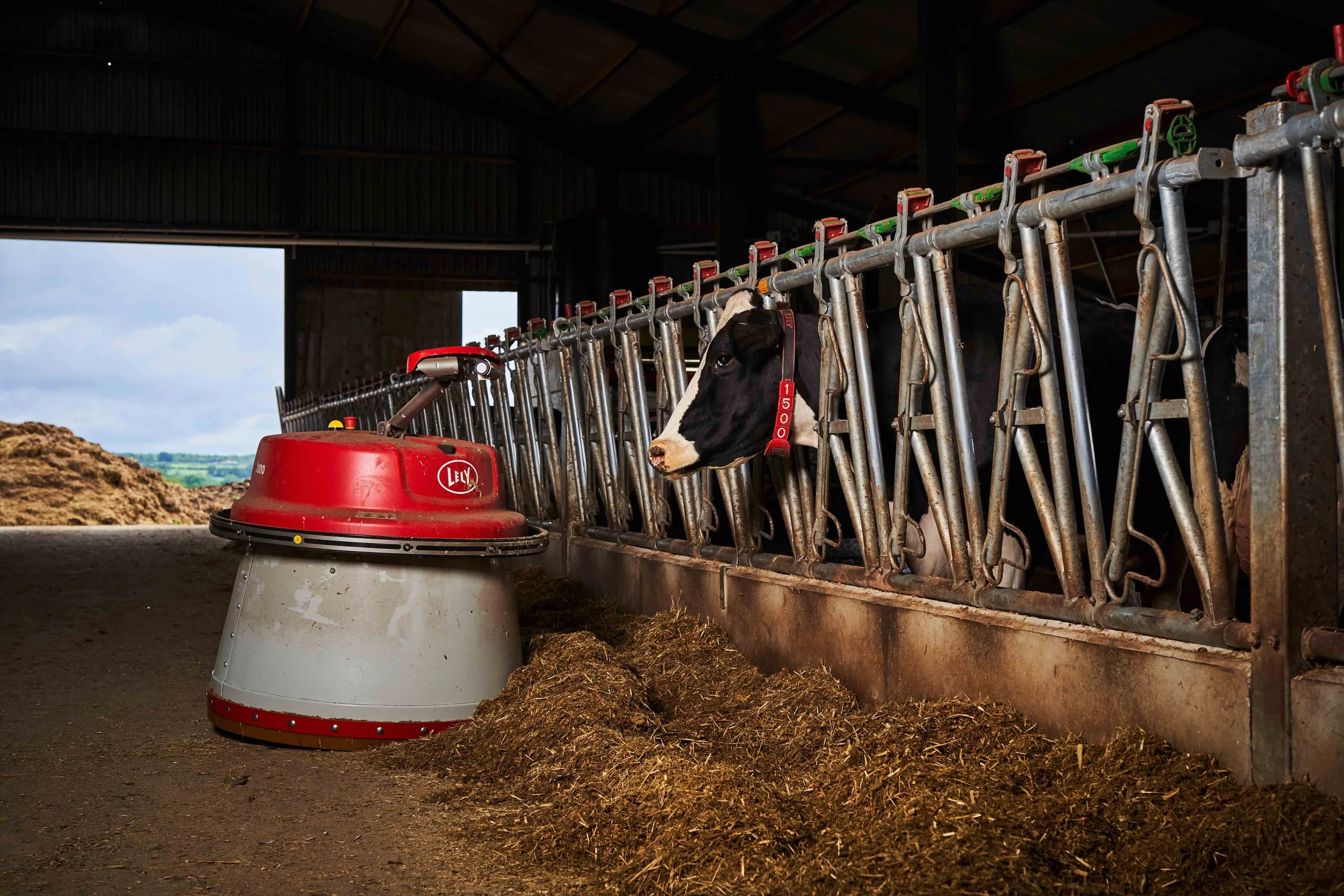 Reverberate_PR_CottageFarm_11Jun24 57 copy.jpeg