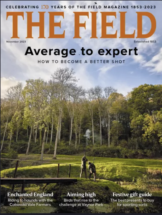 Cover of The Field magazine, November 2023 issue, showing two children playing with a stick near a wooden bridge in a lush, green park with tall trees and a blue sky with clouds.