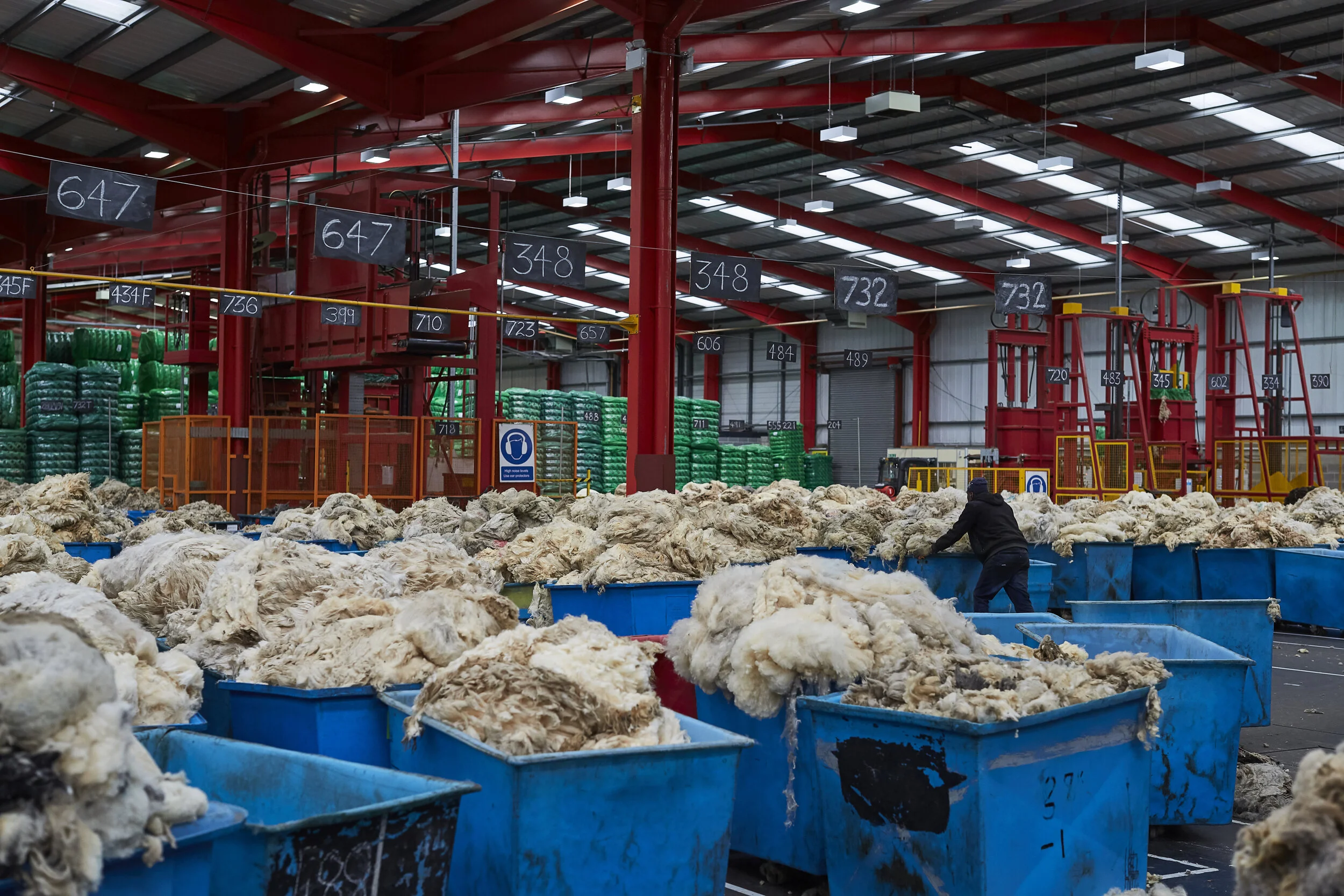 A large indoor sheep shearing facility with red metal beams and a high ceiling. There are blue containers filled with wool, and green bags of processed wool stacked in the background. Signage with numbers hangs from wires above, and a person is tendi
