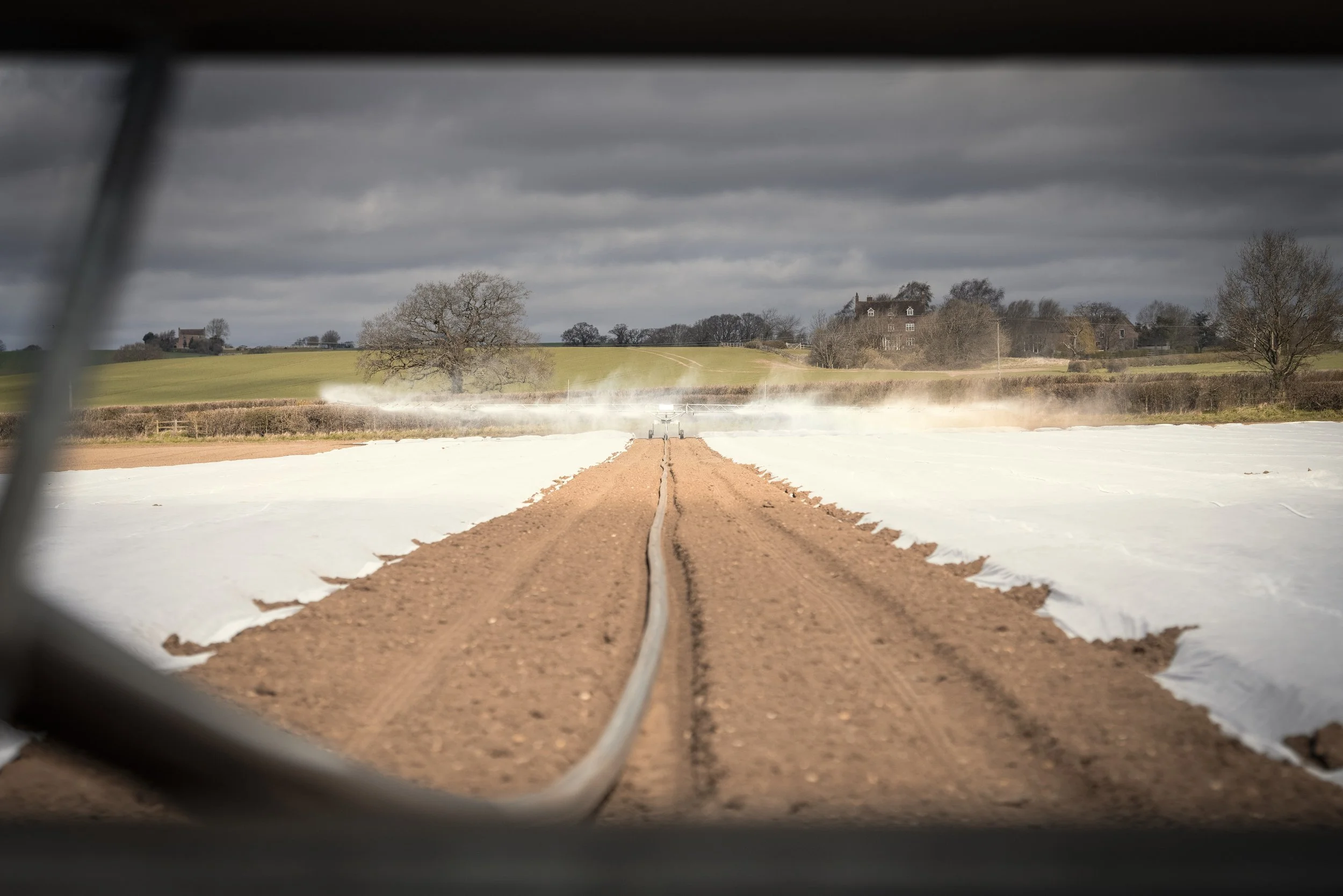View through a vehicle window showing a dirt road with white plastic sheeting on either side, leading towards a misty farm landscape with trees and houses underneath a cloudy sky.