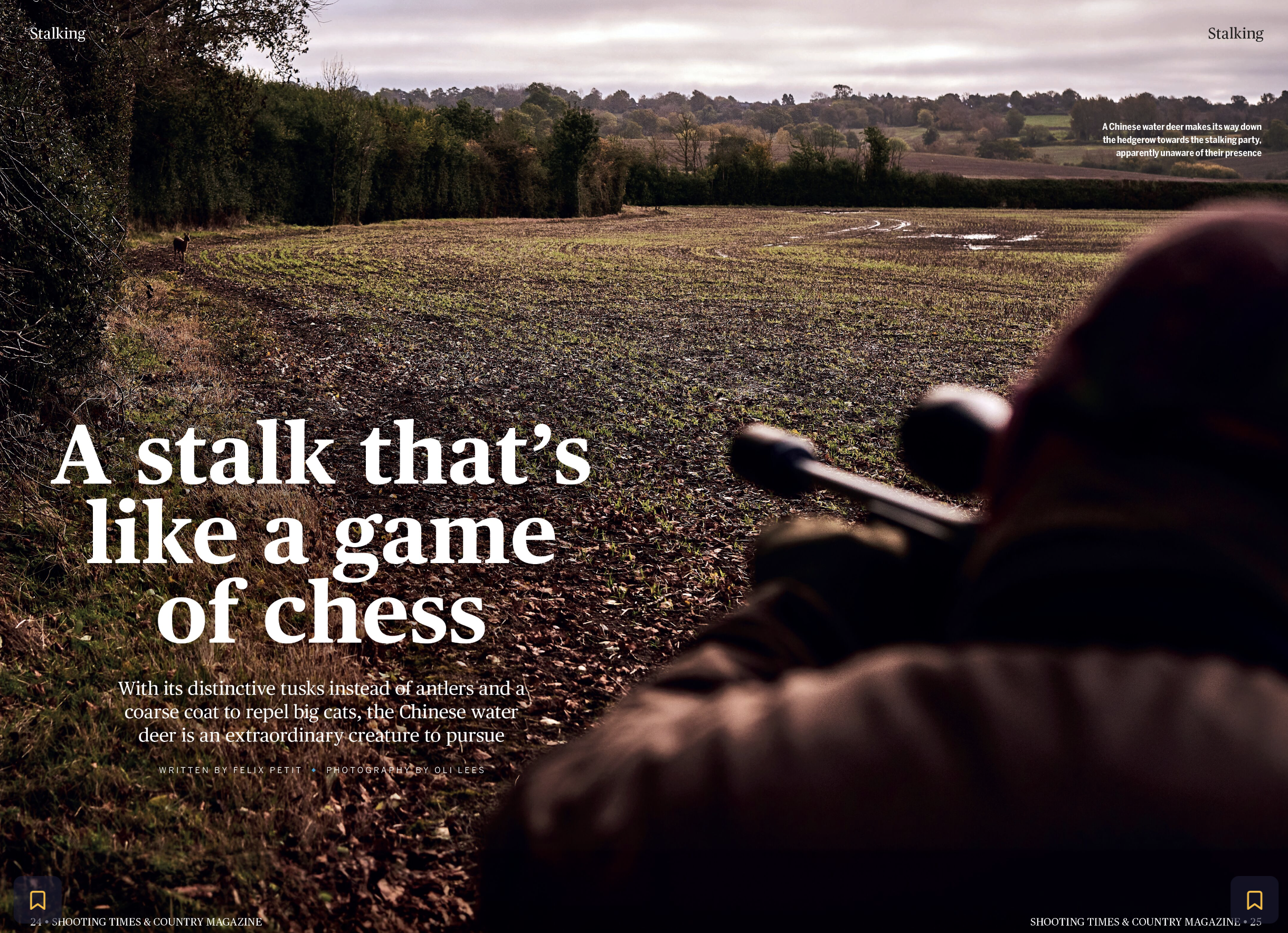 Screenshot 2026-01-02 at 17.44.15.png