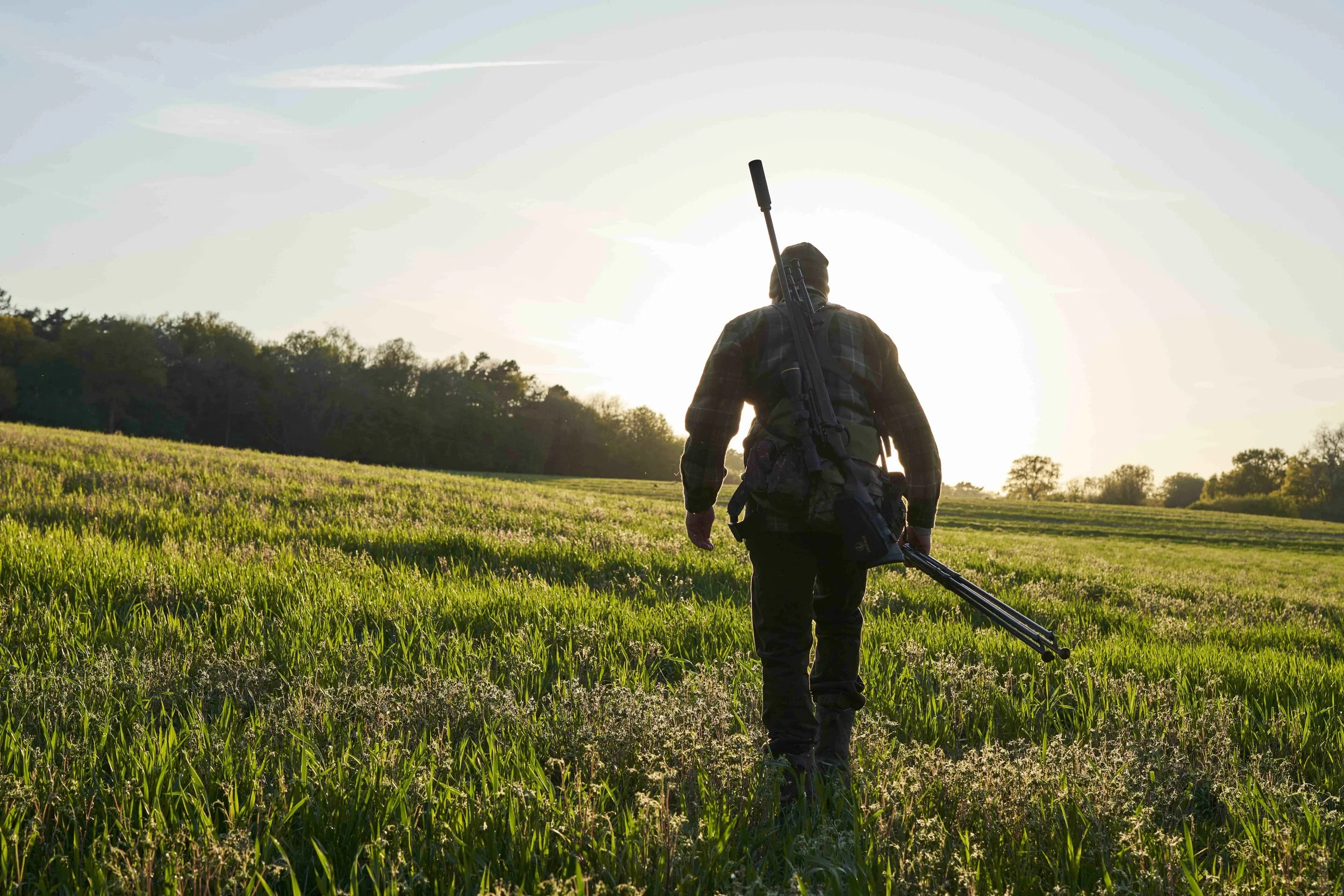 A person walking through a green field carrying camera equipment and a tripod at sunset.