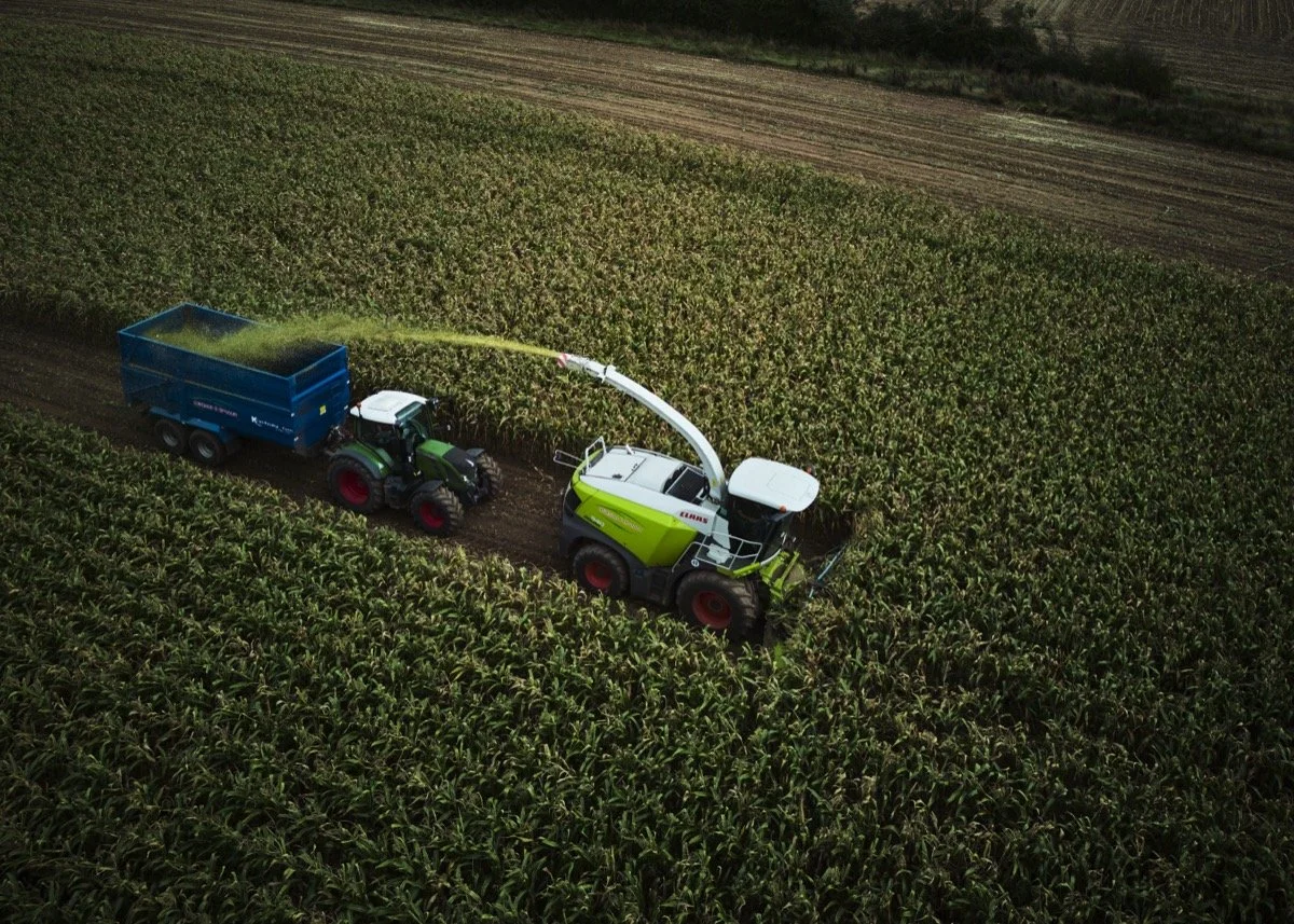 A tractor with a sprayer attachment applies liquid to a cornfield from a hose connected to a second tractor.