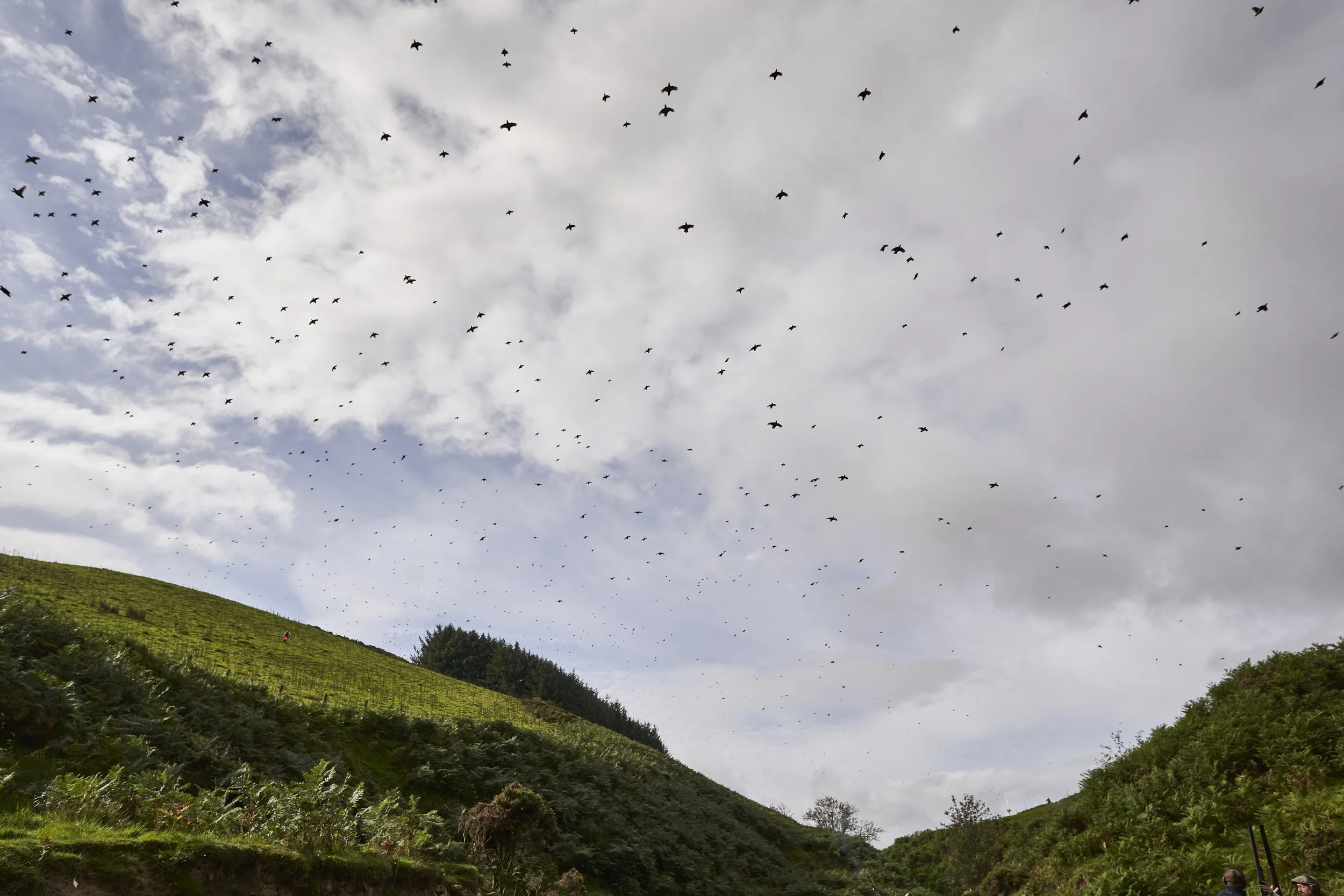 PlasDinam_110921_ 70.jpg