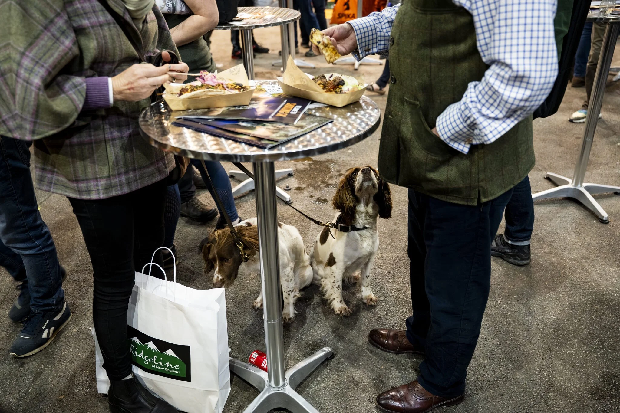 People gathered around a small round table at an indoor event, eating food from paper trays. Two dogs are sitting on the floor, looking up at the people. One dog is brown and white, and the other has darker fur. There are various items on the table, 