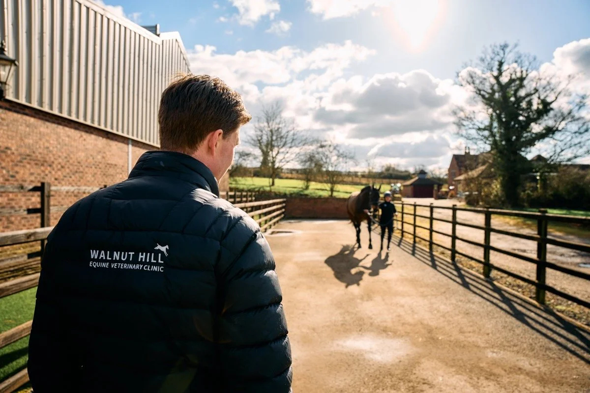 A young man wearing a Walnut Hill equine veterinary clinic jacket watching a person and a horse walking in an outdoor arena on a sunny day with scattered clouds.