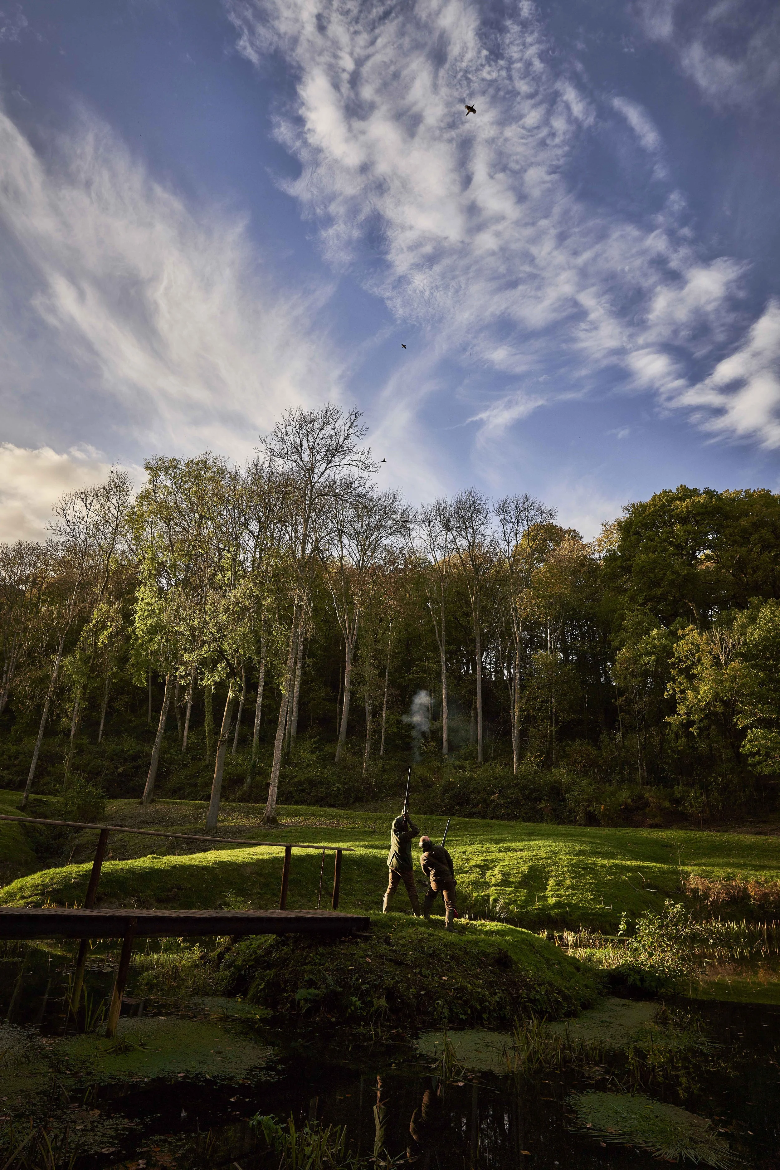 Shooting shotguns at overhead pheasant near a small pond in a park with trees and a blue sky with clouds and birds overhead.