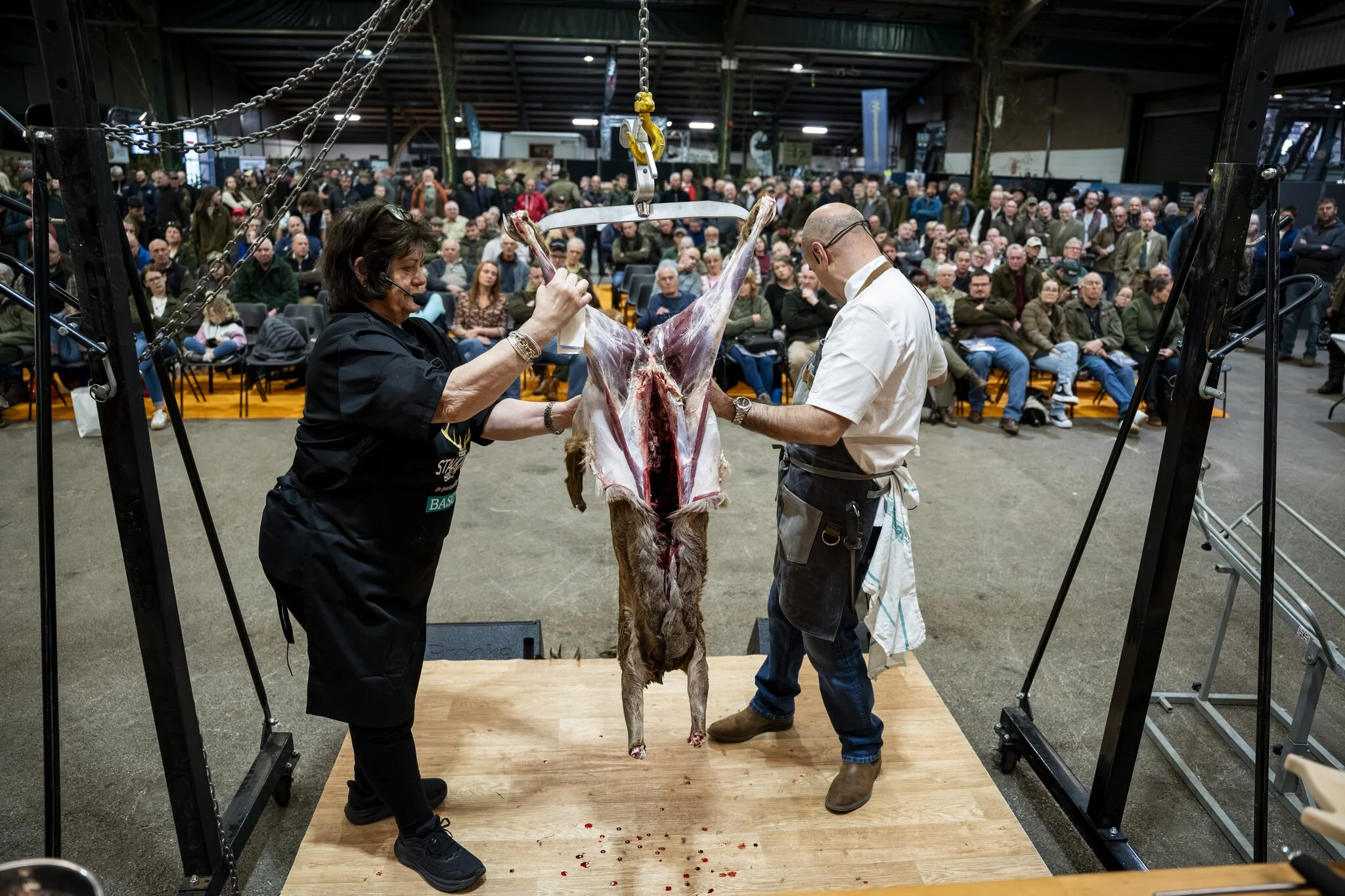 A livestock auction with a woman and a man inspecting a slaughtered animal, possibly a goat or sheep, hanging on a hook in front of a large audience.