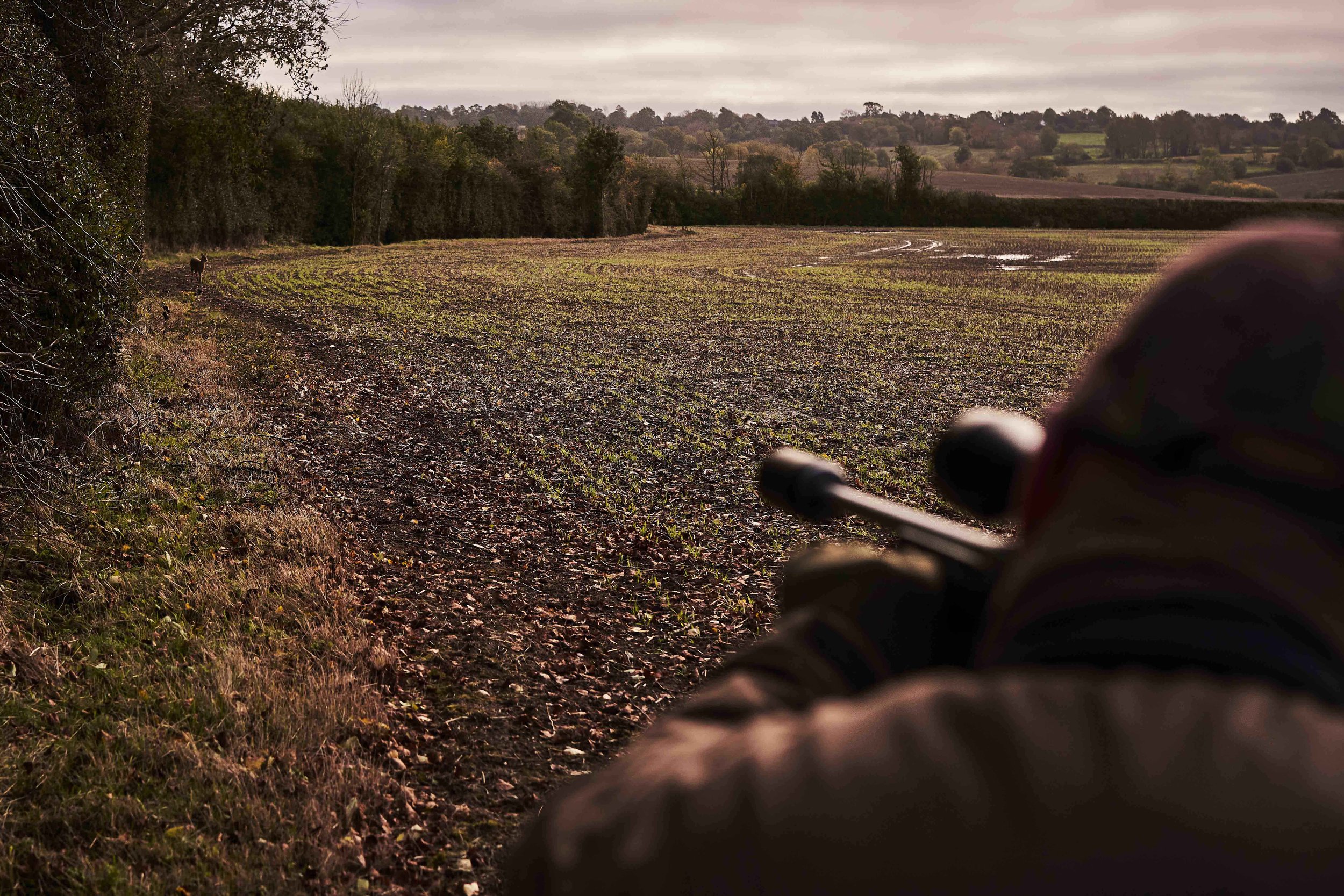 Person in brown jacket holding a rifle in a field with a dog in the distance, overcast sky.
