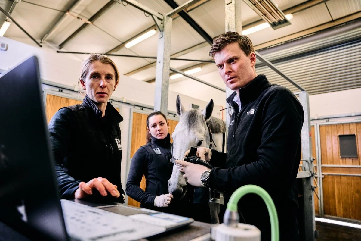 Three people and a white horse inside a barn with wooden walls. One person is working with the horse while the others observe, and there's a computer and lab equipment on a nearby table.