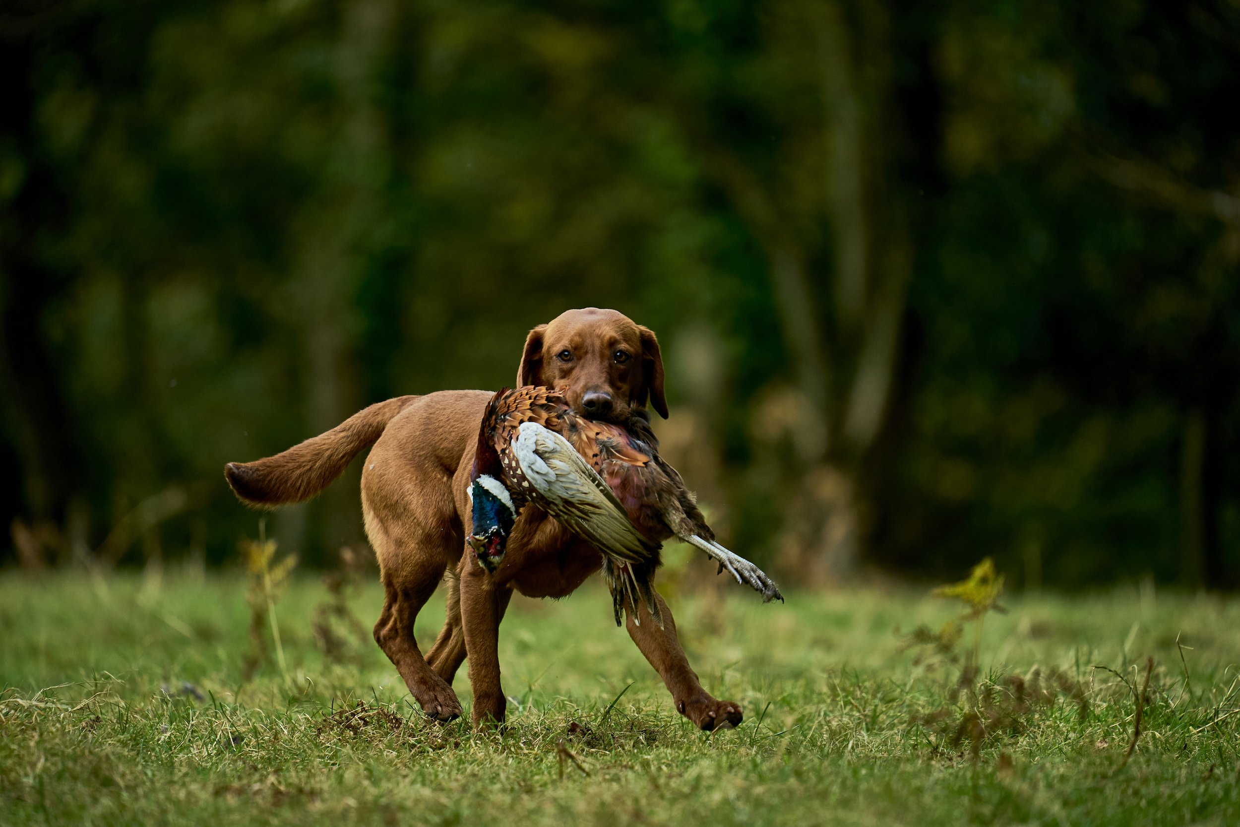 BrigandsNov25 280.jpg