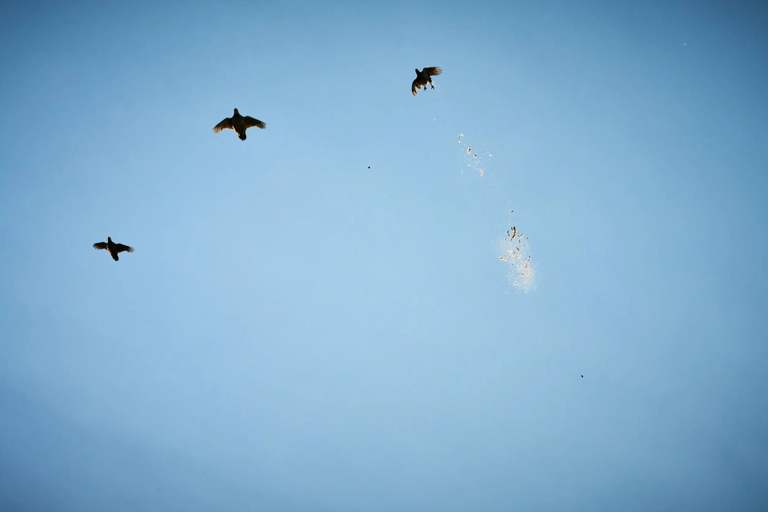 MortonSporting24_Vaynor10.Oct.24_ 151.jpg