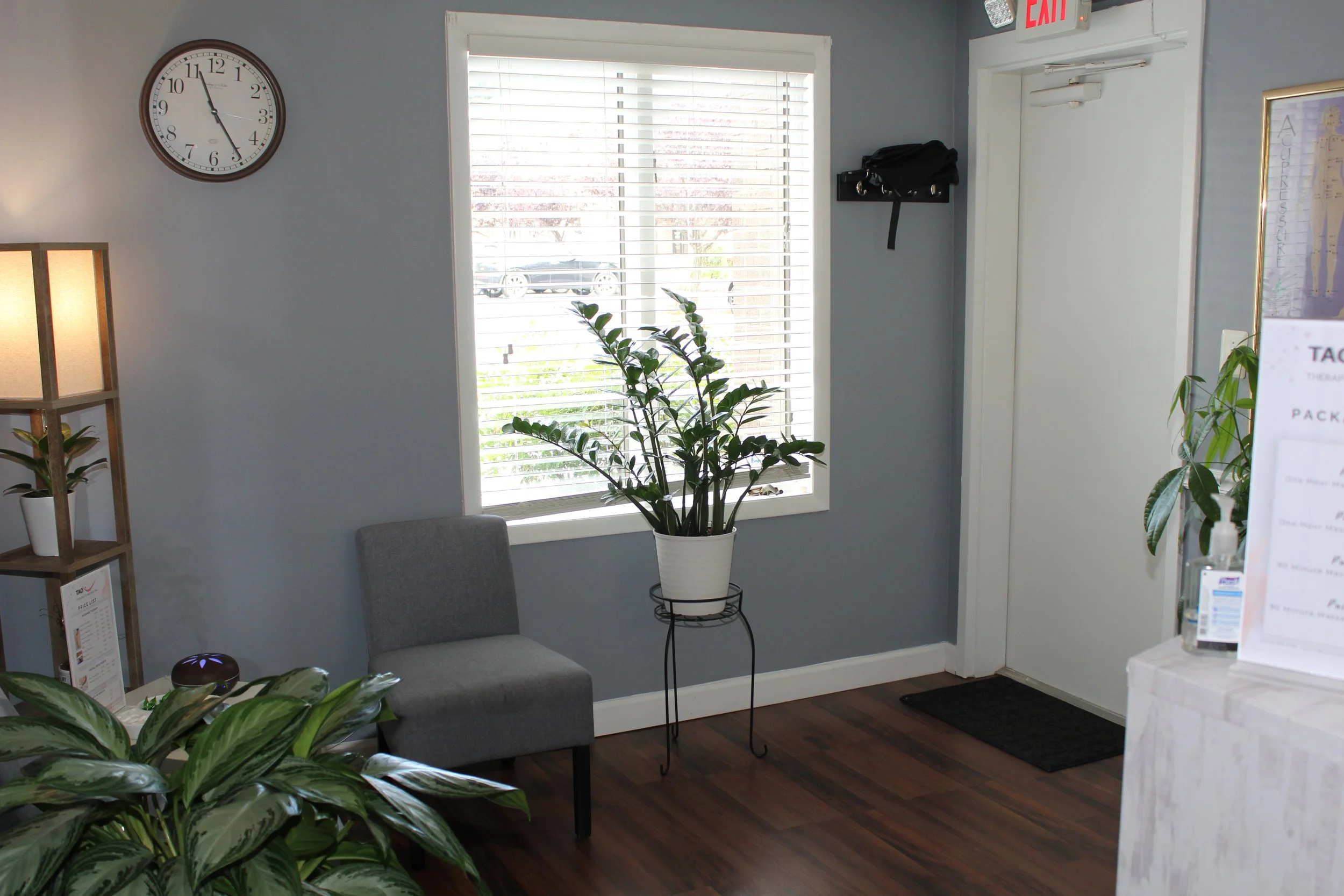Corner of a room with gray walls, a clock showing 11:55, a window with blinds, a gray chair, a potted plant on a stand, a shelf with a small plant, a door with an exit sign, and some informational pamphlets.