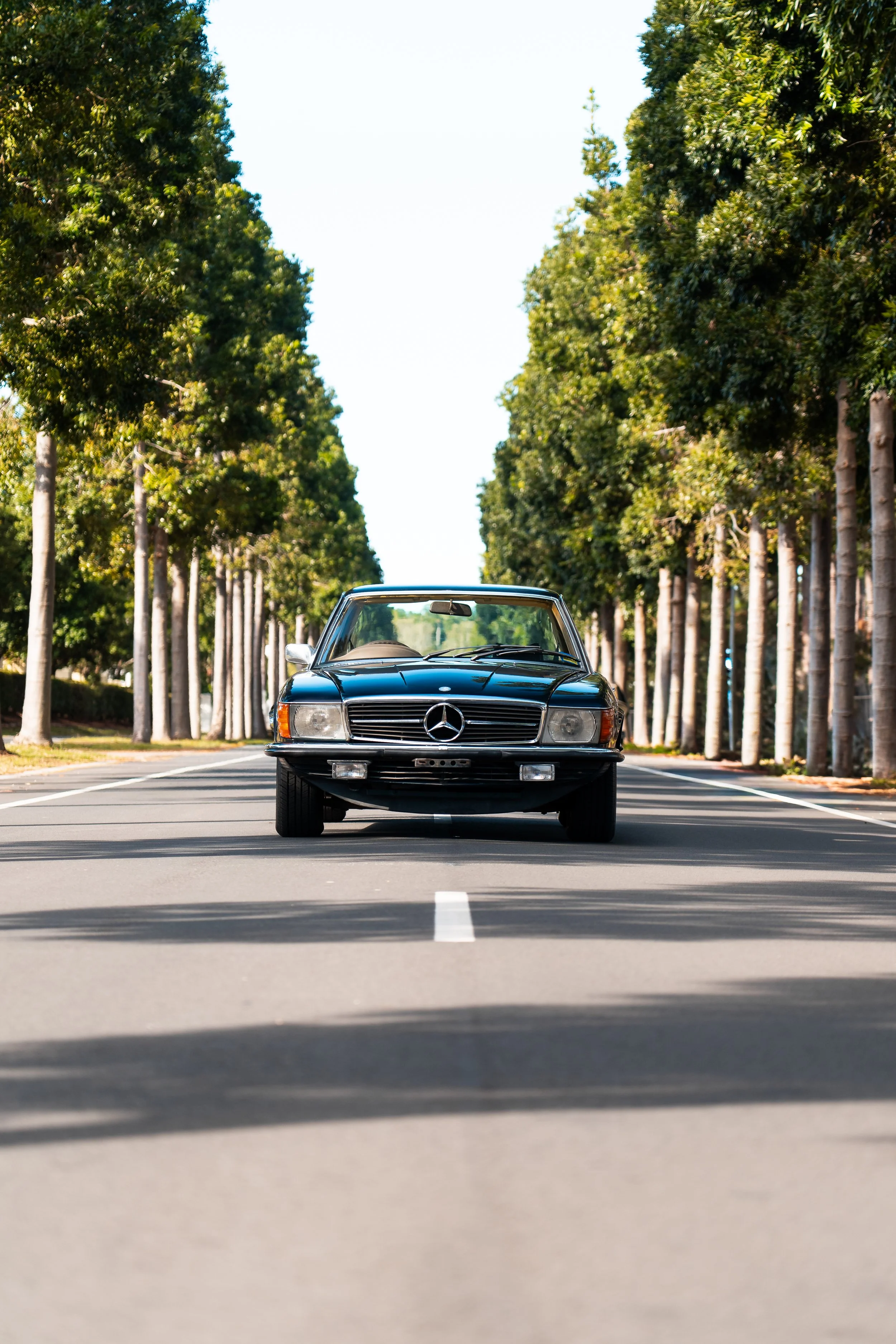 A classic black Mercedes-Benz car parked on a tree-lined street with clear sky above.