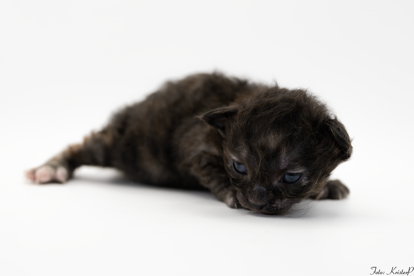 002 2 weeks old
