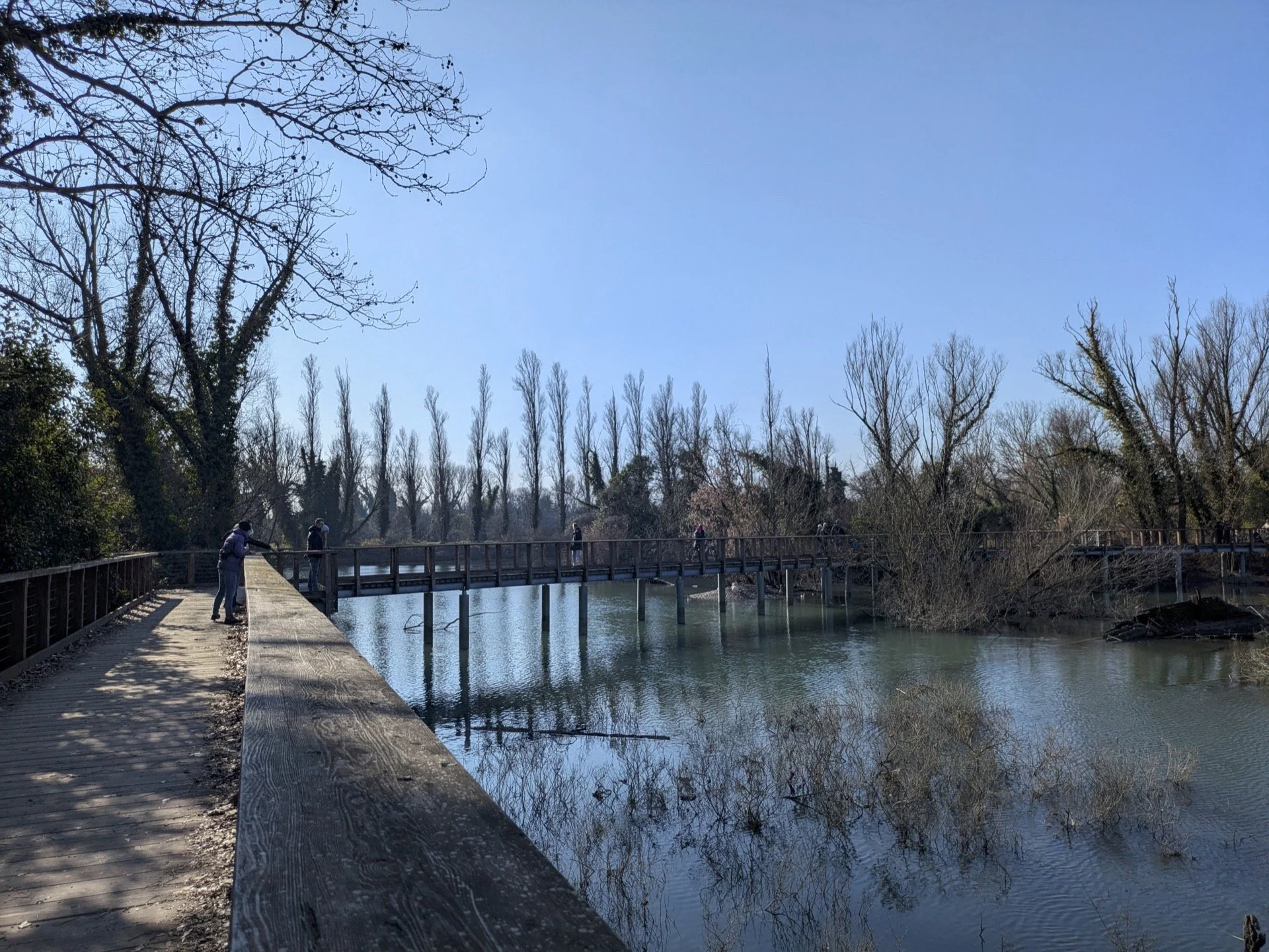 A wooden bridge over a calm body of water with bare trees in the background on a clear day.