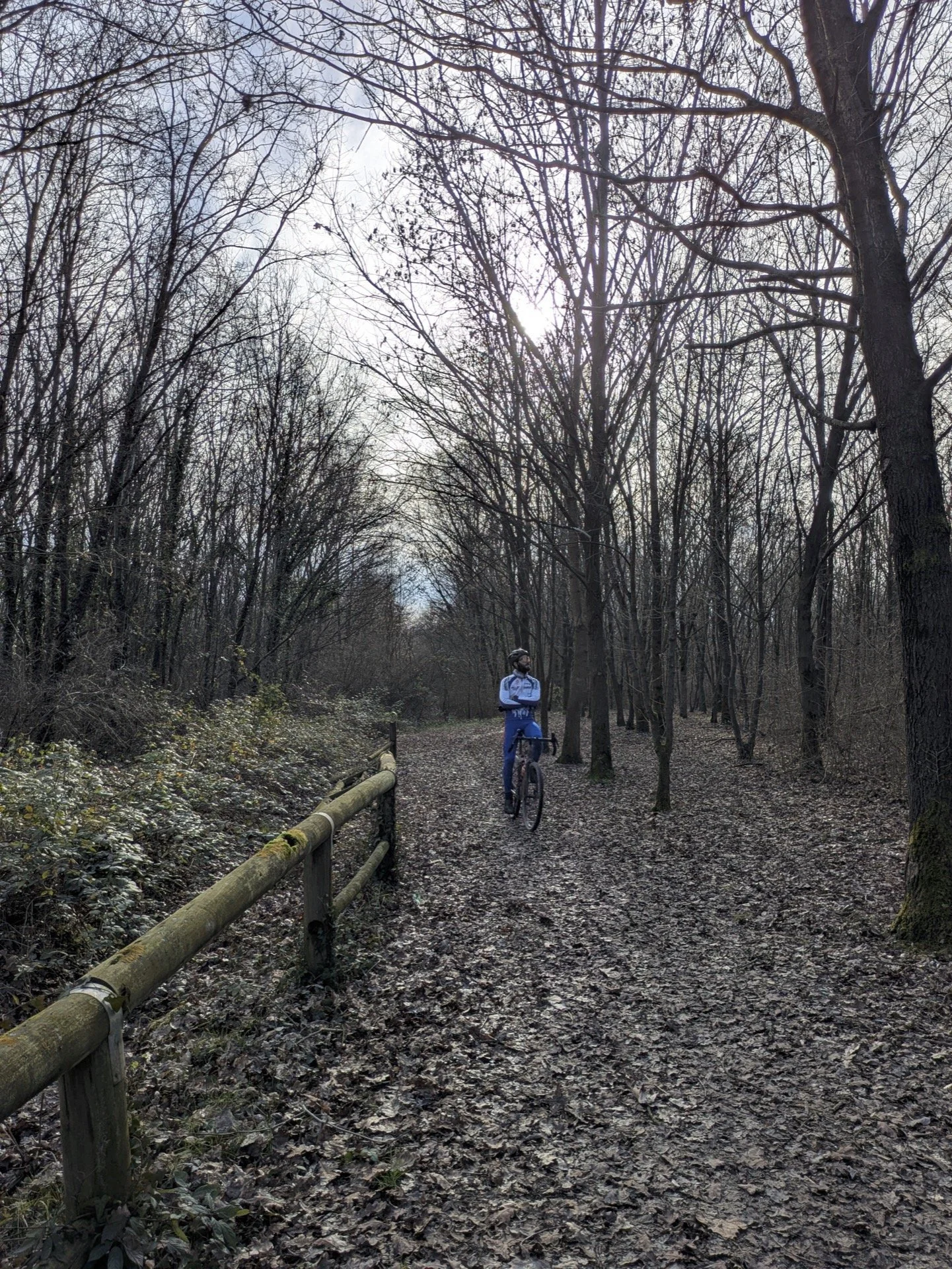 A person with a bicycle standing on a dirt trail in a forest with leafless trees, during late fall or winter, with the sun visible through the branches.