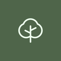 Minimalist icon of a tree with a cloud outline on a green background.