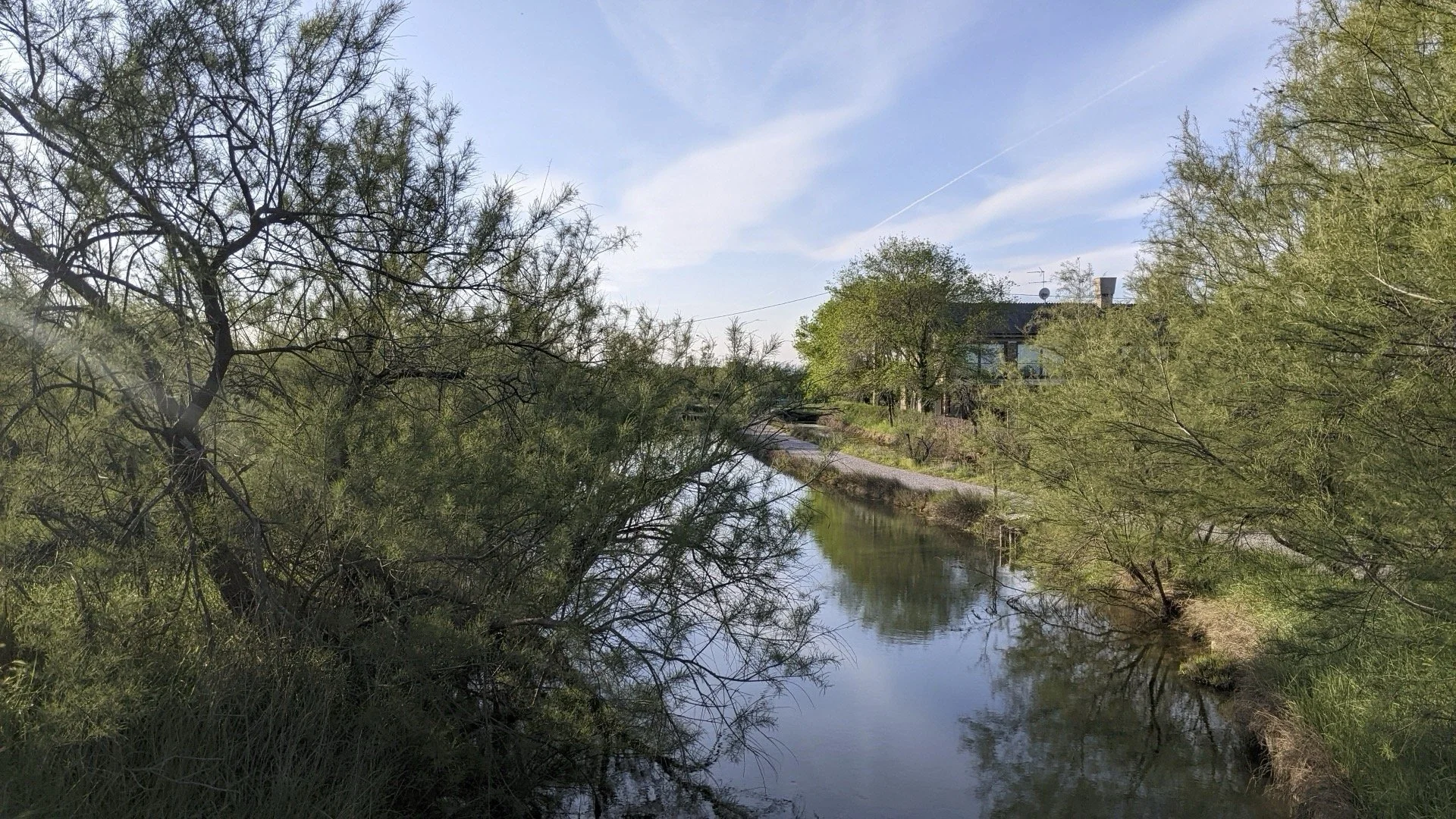 A peaceful scene of a small waterway surrounded by green trees and grass, with a house visible in the background under a blue sky with wispy clouds.
