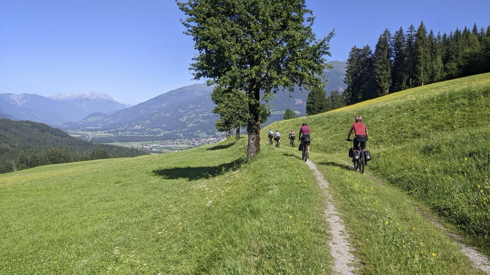 Group of six cyclists riding on a narrow dirt trail through a lush green meadow with scattered trees, mountains in the background, under a clear blue sky.