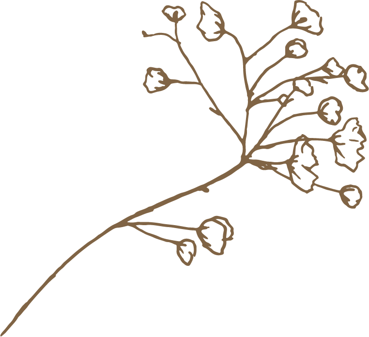 Schizzo di un ramo di fiori stilizzato marrone su sfondo nero.
