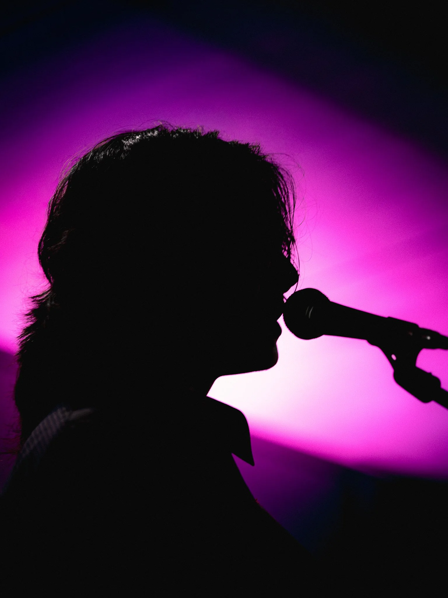 PINK SILHOUETTE (1 of 1).JPG