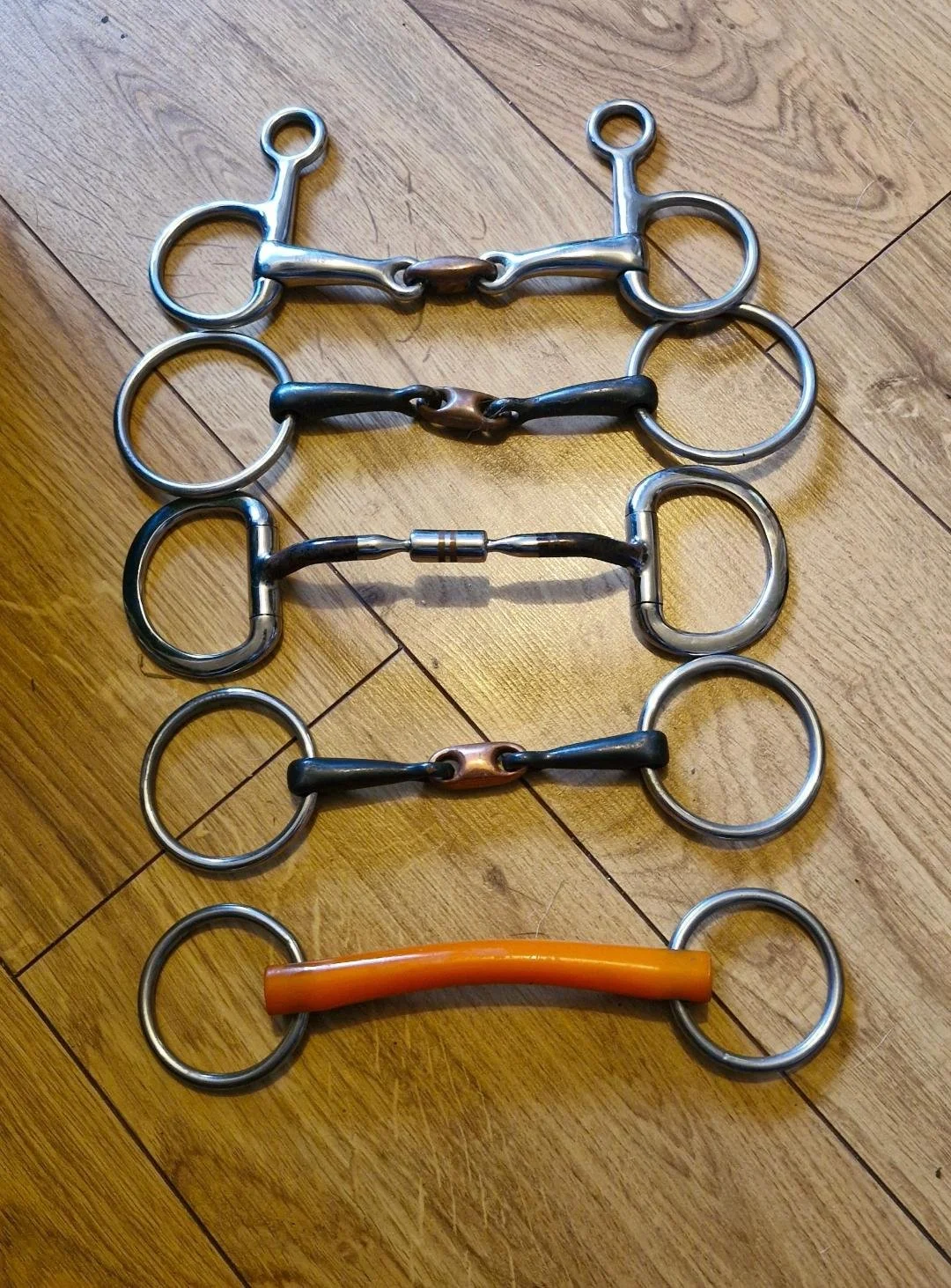 Bridle and Bit Fitting