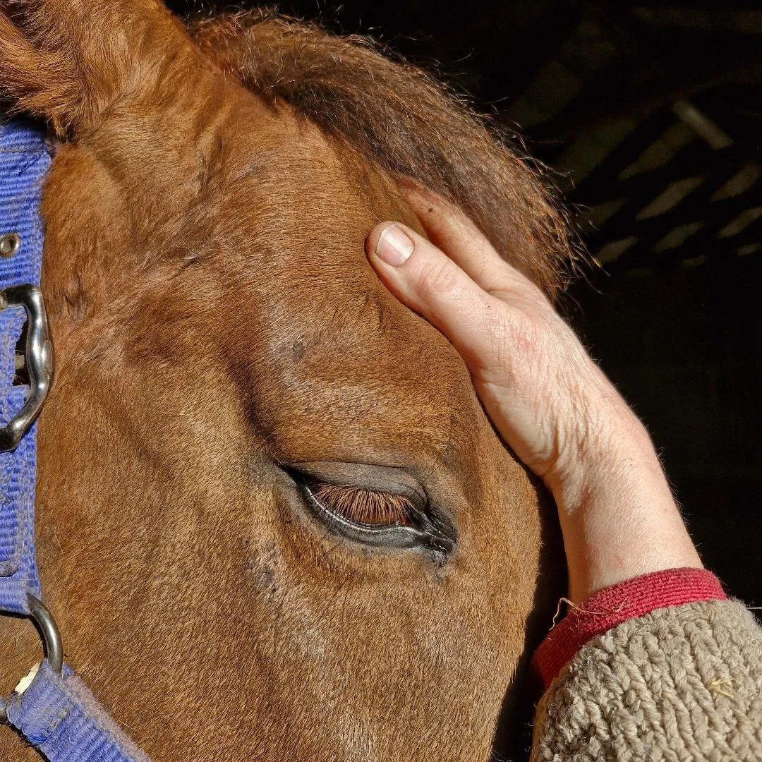 Craniosacral Therapy