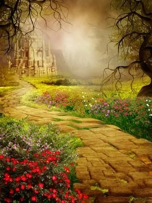 Chris Ives images Pathway Fotolia_28067020_XS.jpg