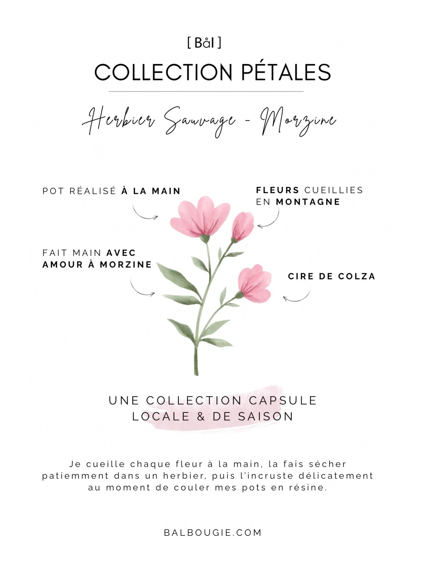 Les collections P&eacute;tales

Je vous en ai d&eacute;j&agrave; parl&eacute;, mais je ne m&rsquo;en lasse pas &mdash; ce sont vraiment mes collections coup de c&oelig;ur 🌸
Chaque cr&eacute;ation est unique. Chaque fleur est cueillie avec soin, mise