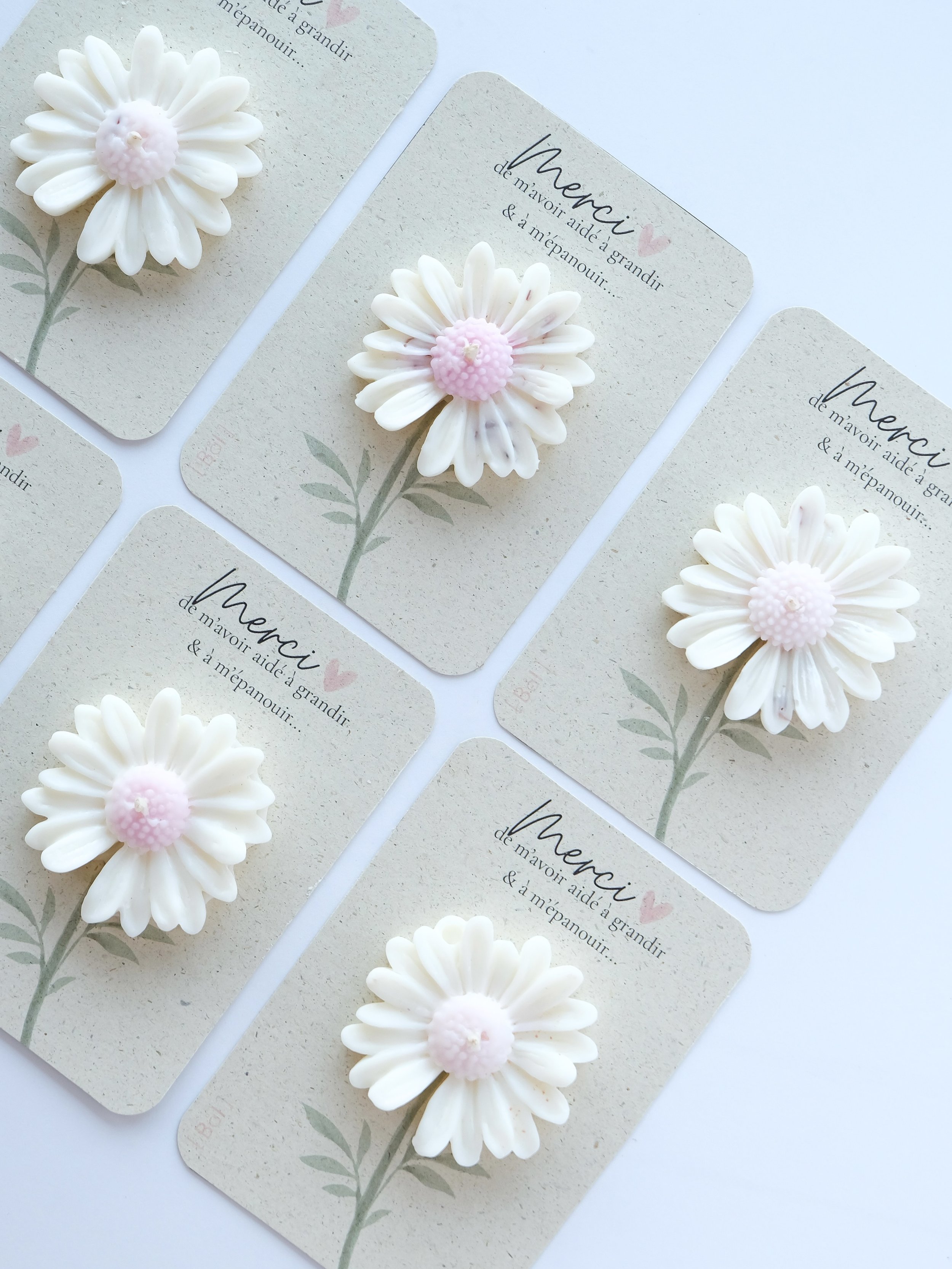 &rarr; Swipe pour d&eacute;couvrir une petite attention qui dit &ldquo;merci&rdquo; avec douceur 🌸

Chaque ann&eacute;e, c&rsquo;est la m&ecirc;me question :

&ldquo;Qu&rsquo;est-ce que je pourrais offrir &agrave; la ma&icirc;tresse ?&rdquo;

J&rsqu