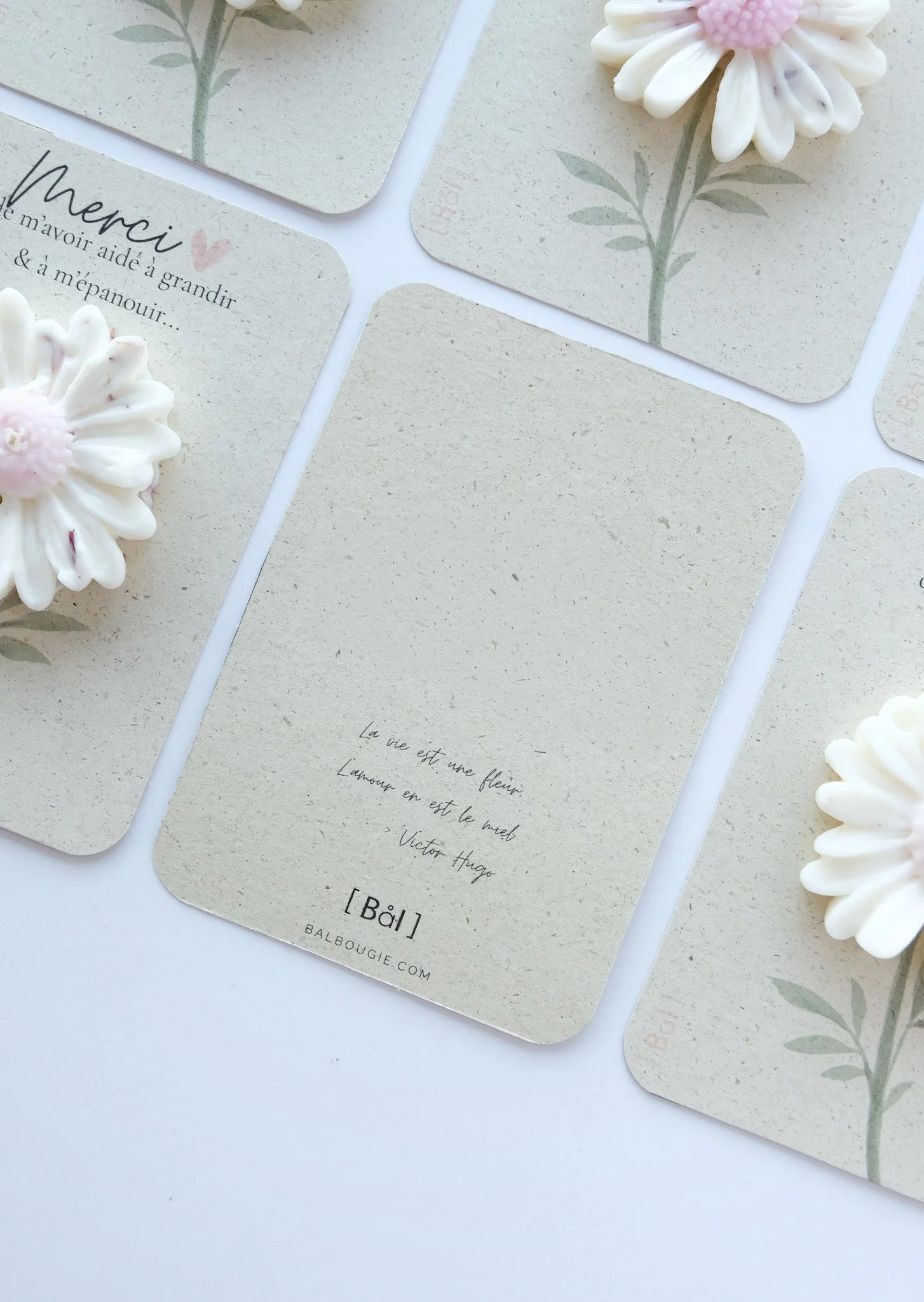 Fleur de cire et carte en papier herbe posées ensemble — attention poétique pour remercier une nounou