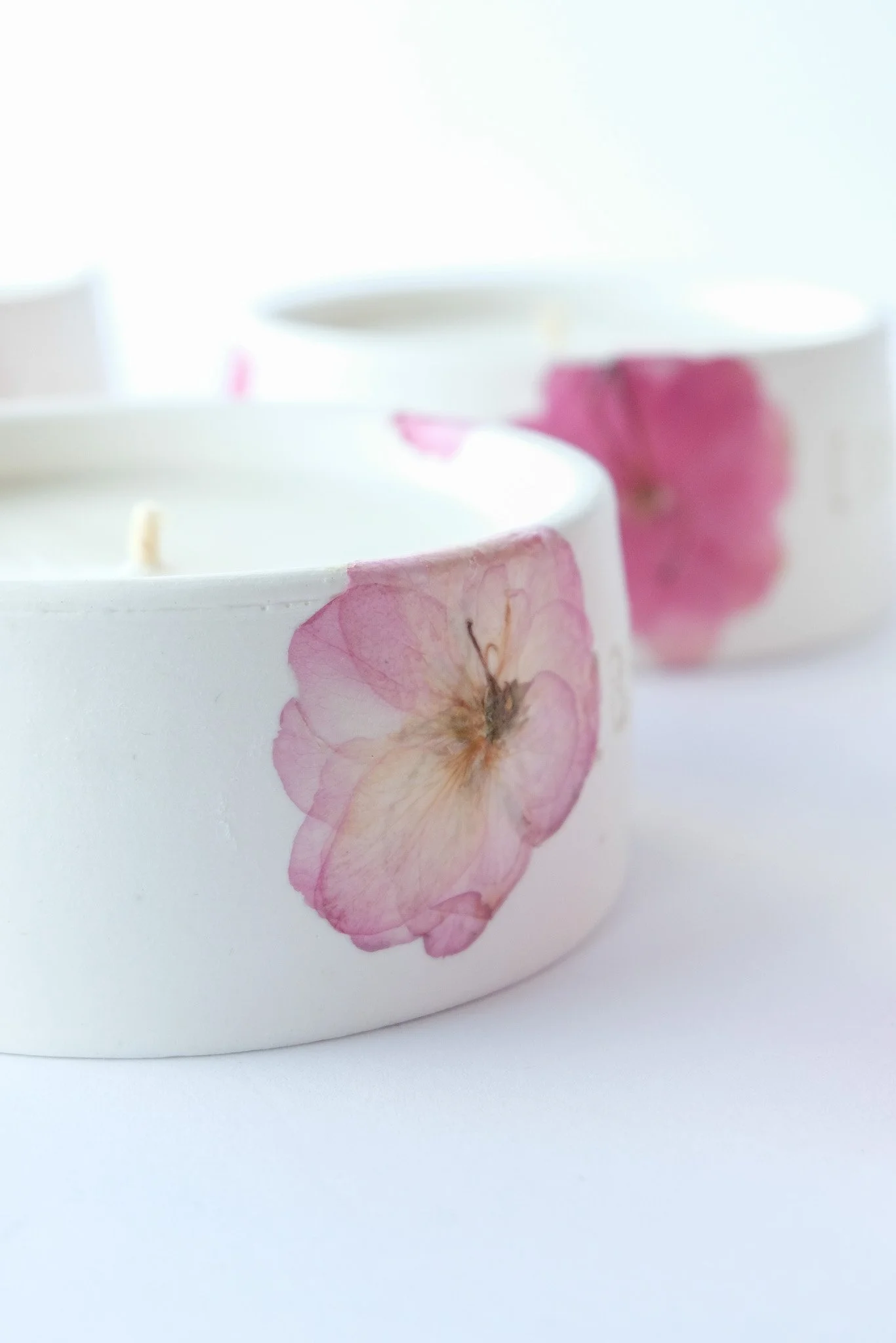 Détail fleurs de cerisier séchées en herbier — bougie artisanale cire de colza française