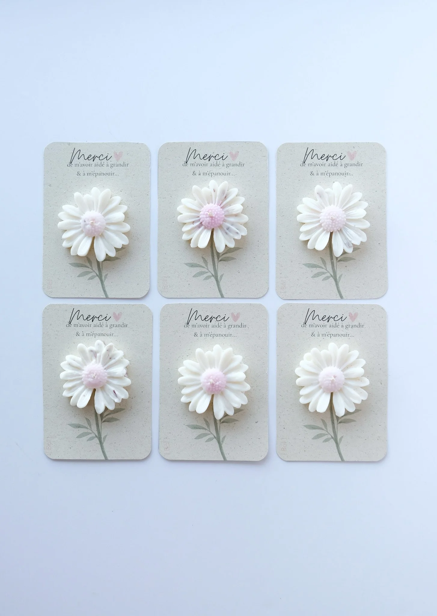 Vue de dessus de la fleur de cire végétale — cadeau fin d'année maîtresse fait main