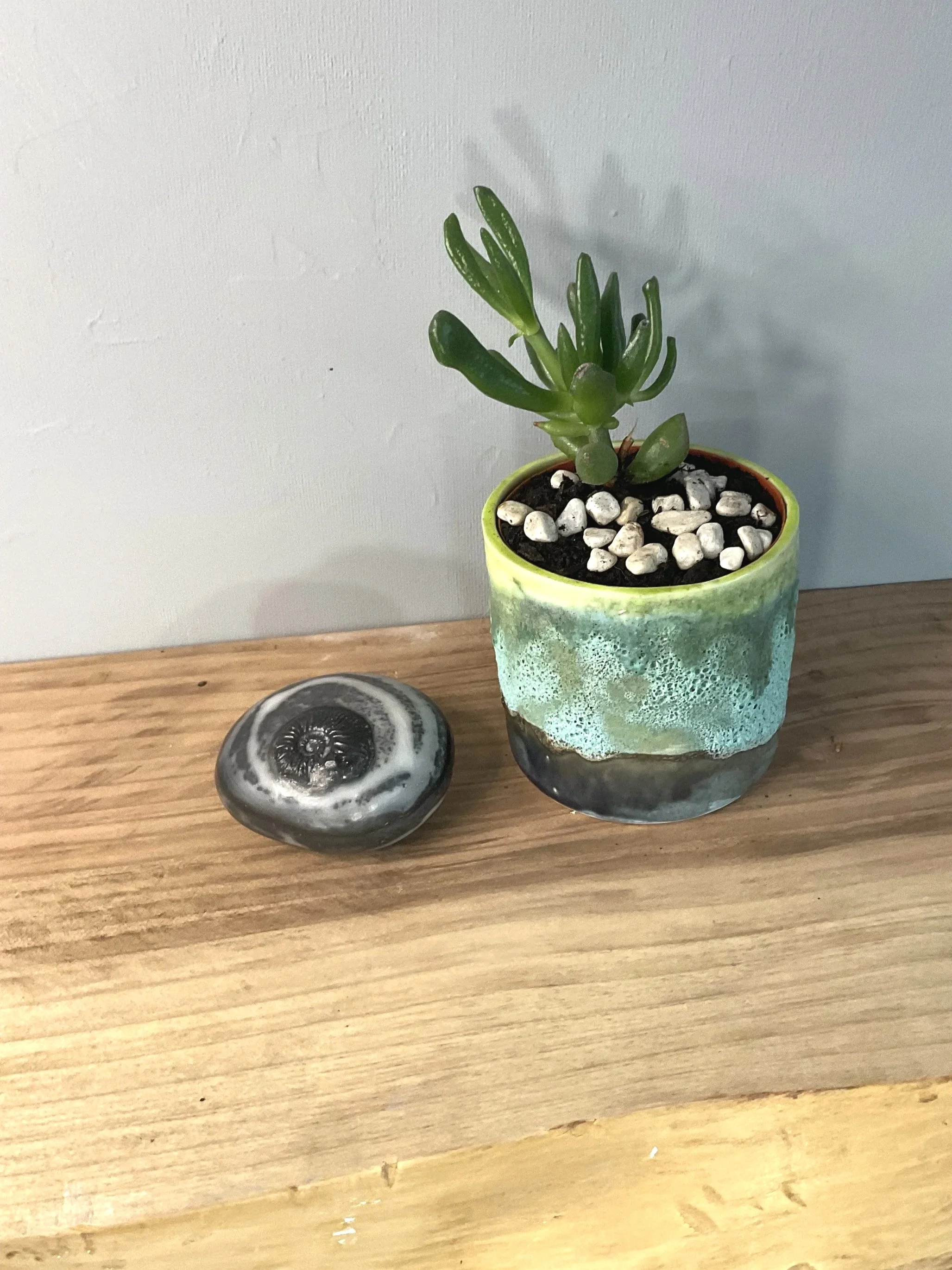 Naked Raku Ammonite Pebble small