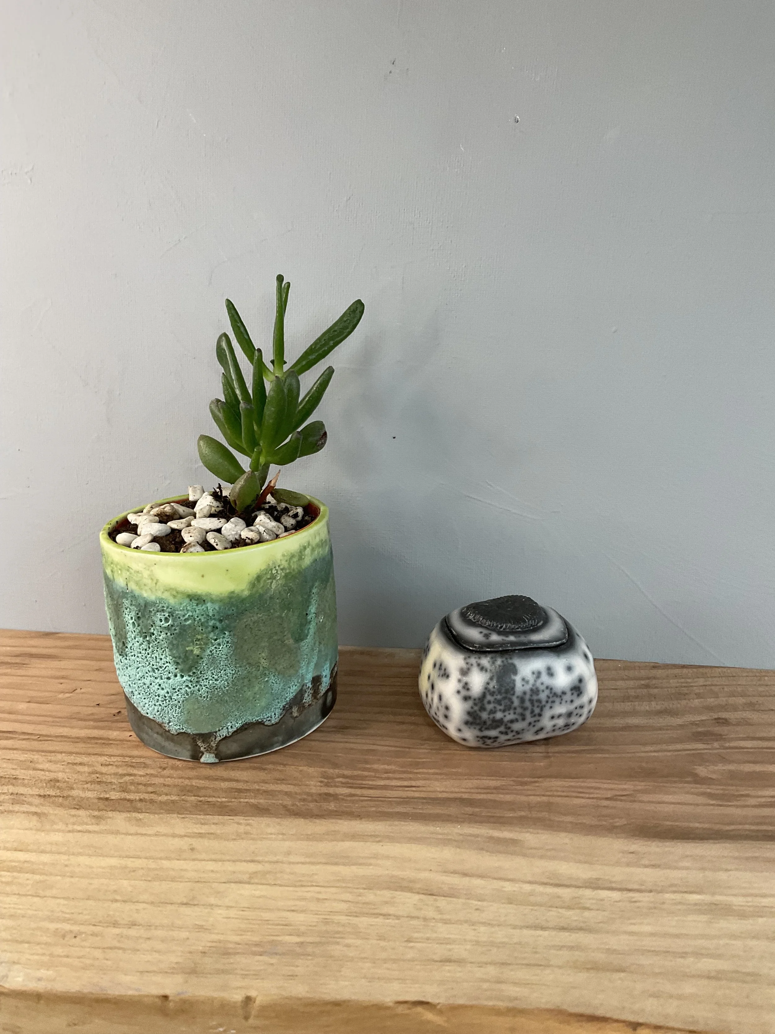 Ammonite box in naked raku small