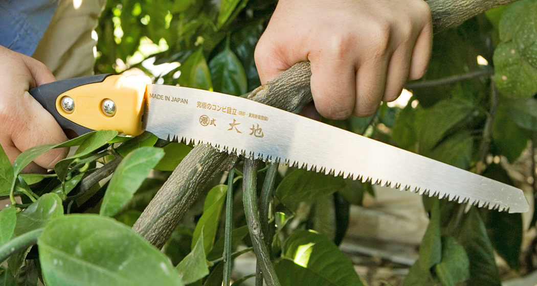 Fruit Nursery Grafting Saws, Silky Saws