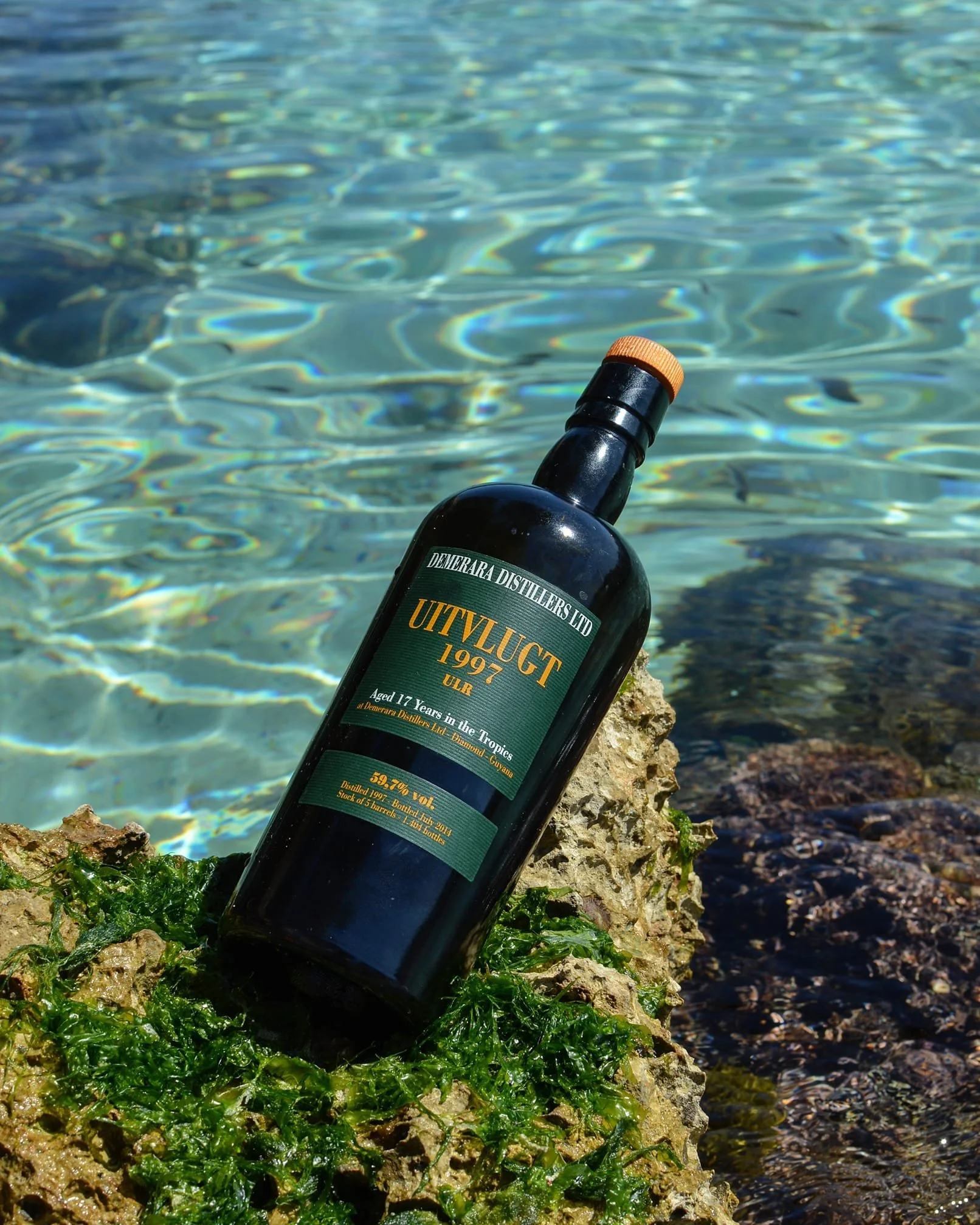 Uitvlugt 1997 - Velier - 59,7%