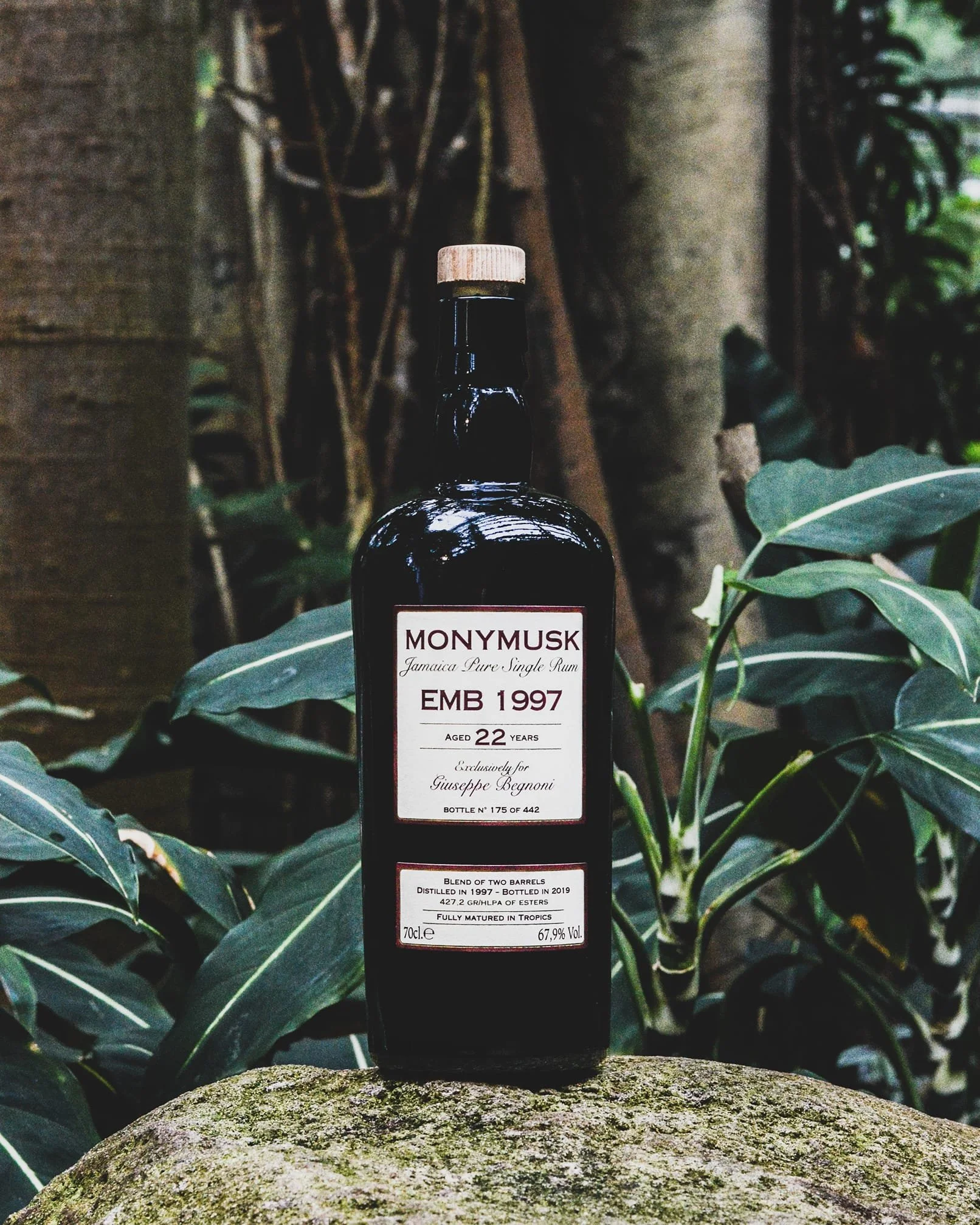 Monymusk 1997 EMB - For Begnoni - 67,9%